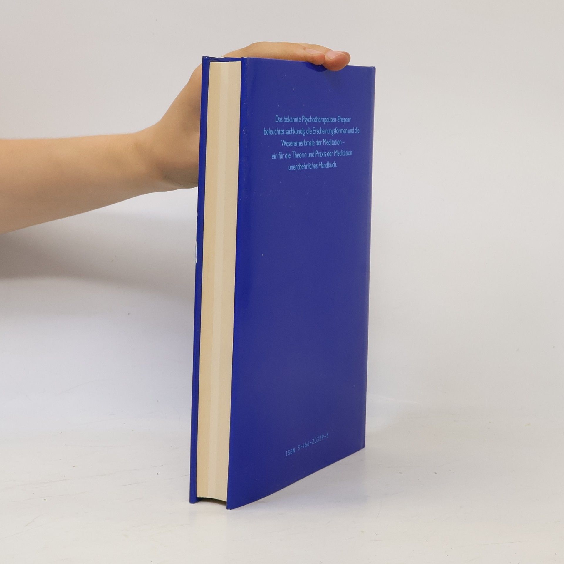 Almuth Huth Handbuch der Meditation