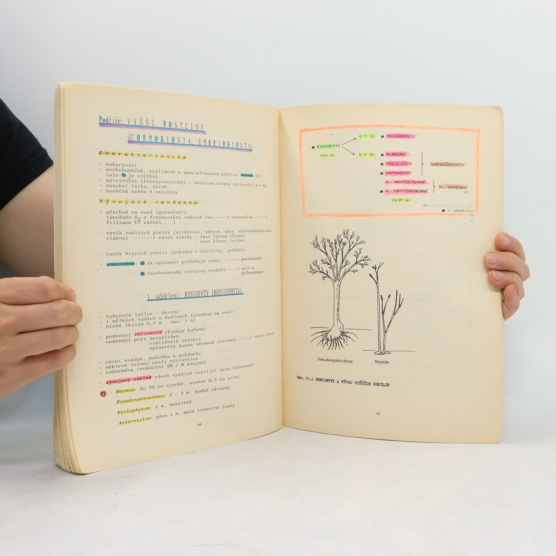 F. Kislinger Biologie I.