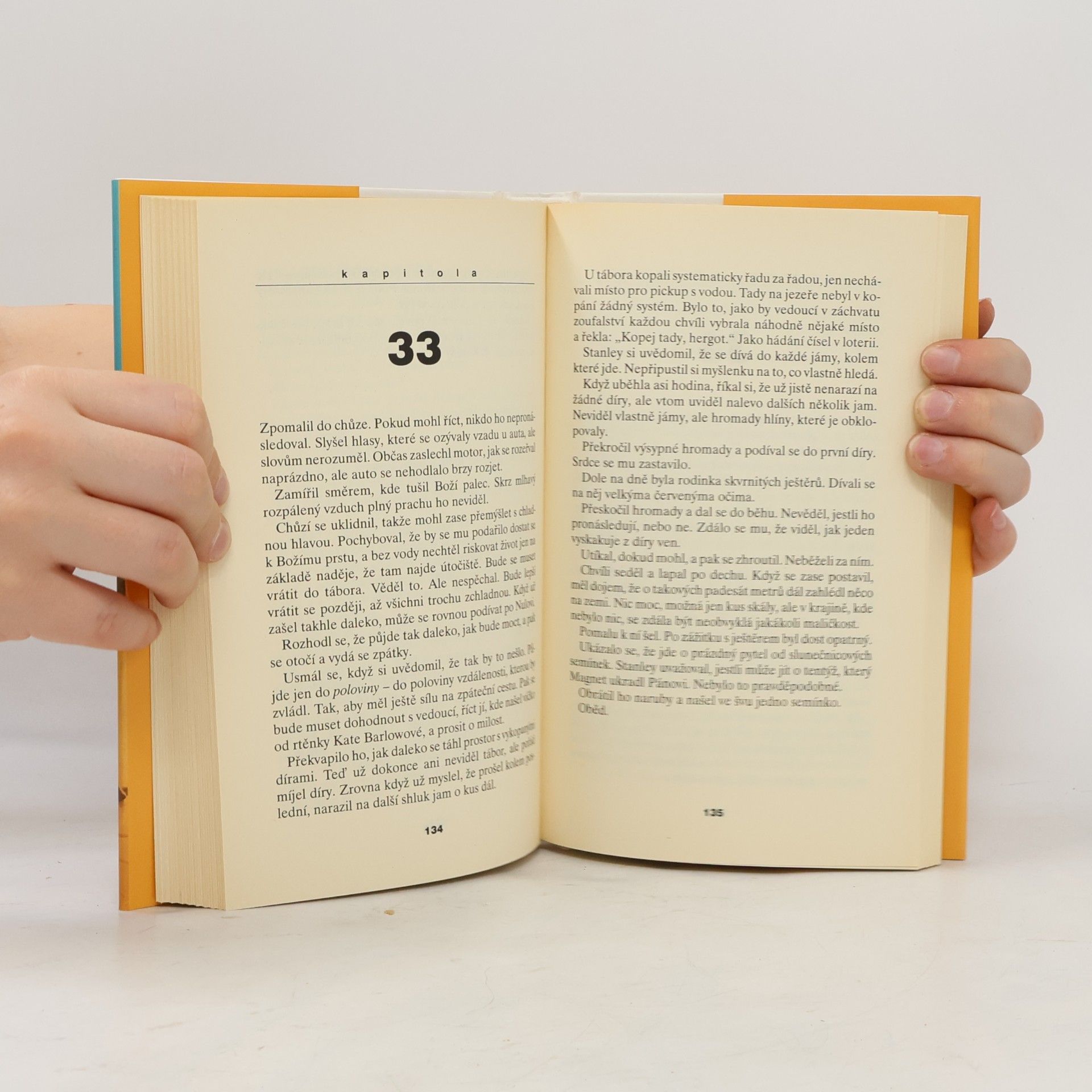Louis Sachar Díry, aneb, Tajemství Zeleného jezera