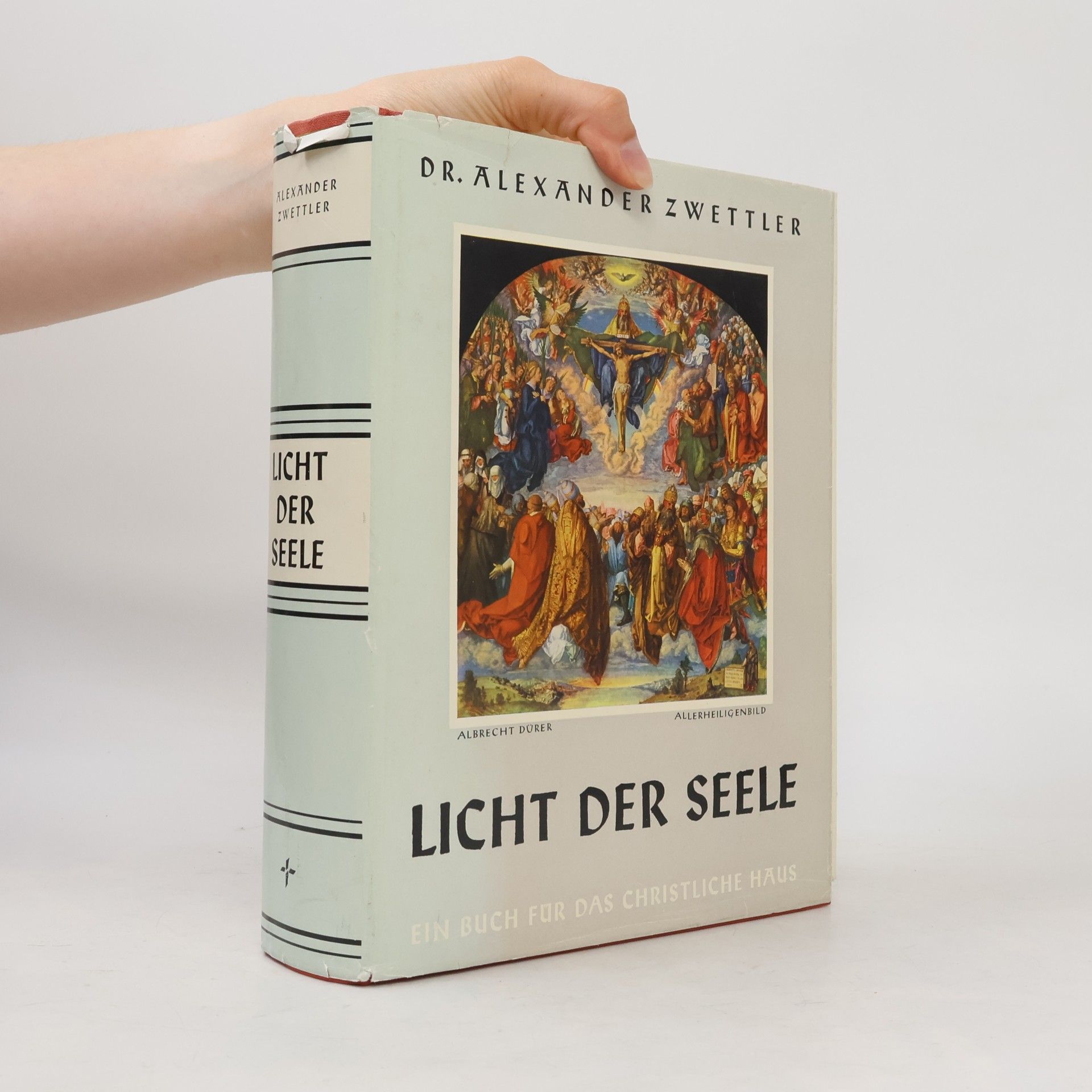 Alexander Zwettler Licht der Seele