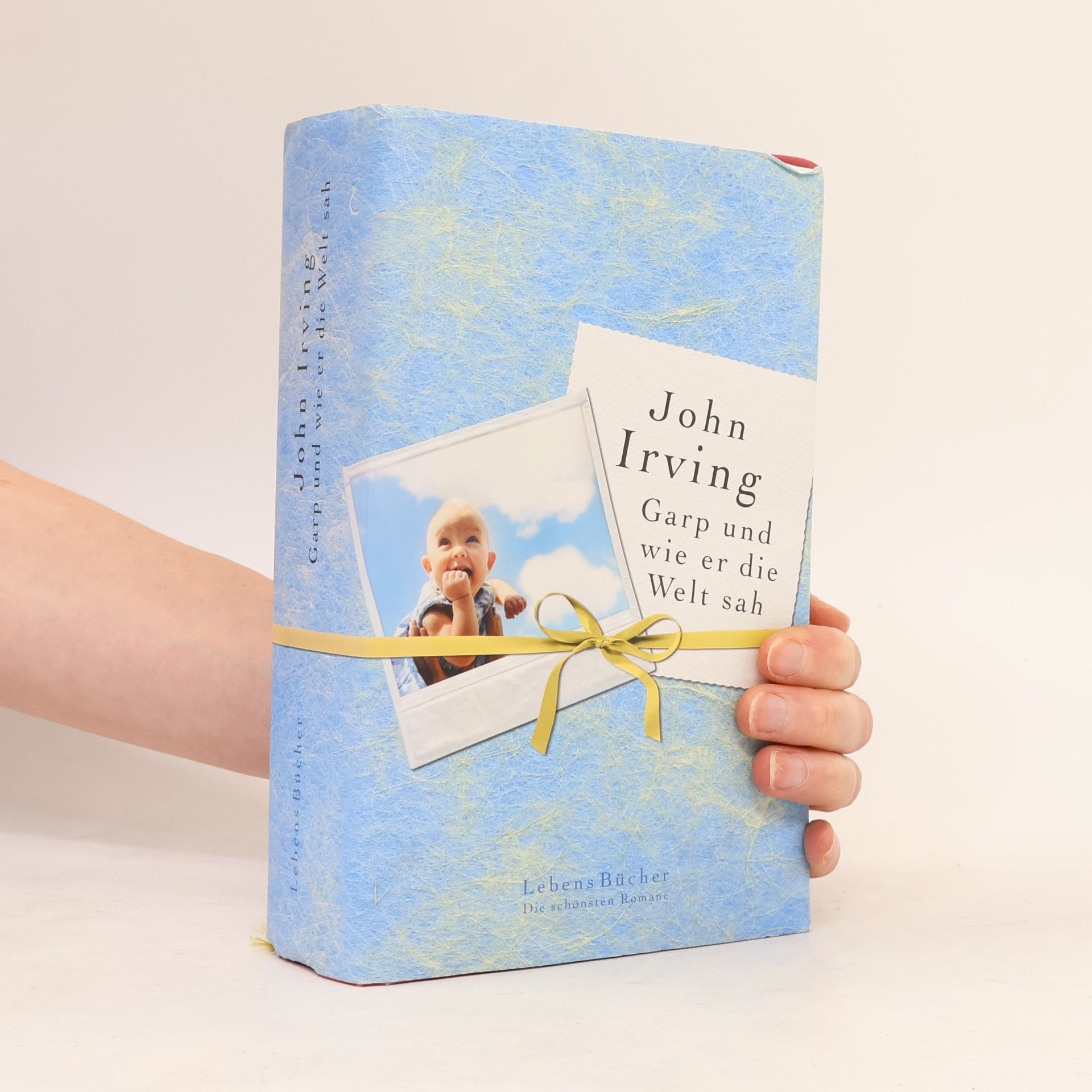 John Irving Garp und wie er die Welt soh