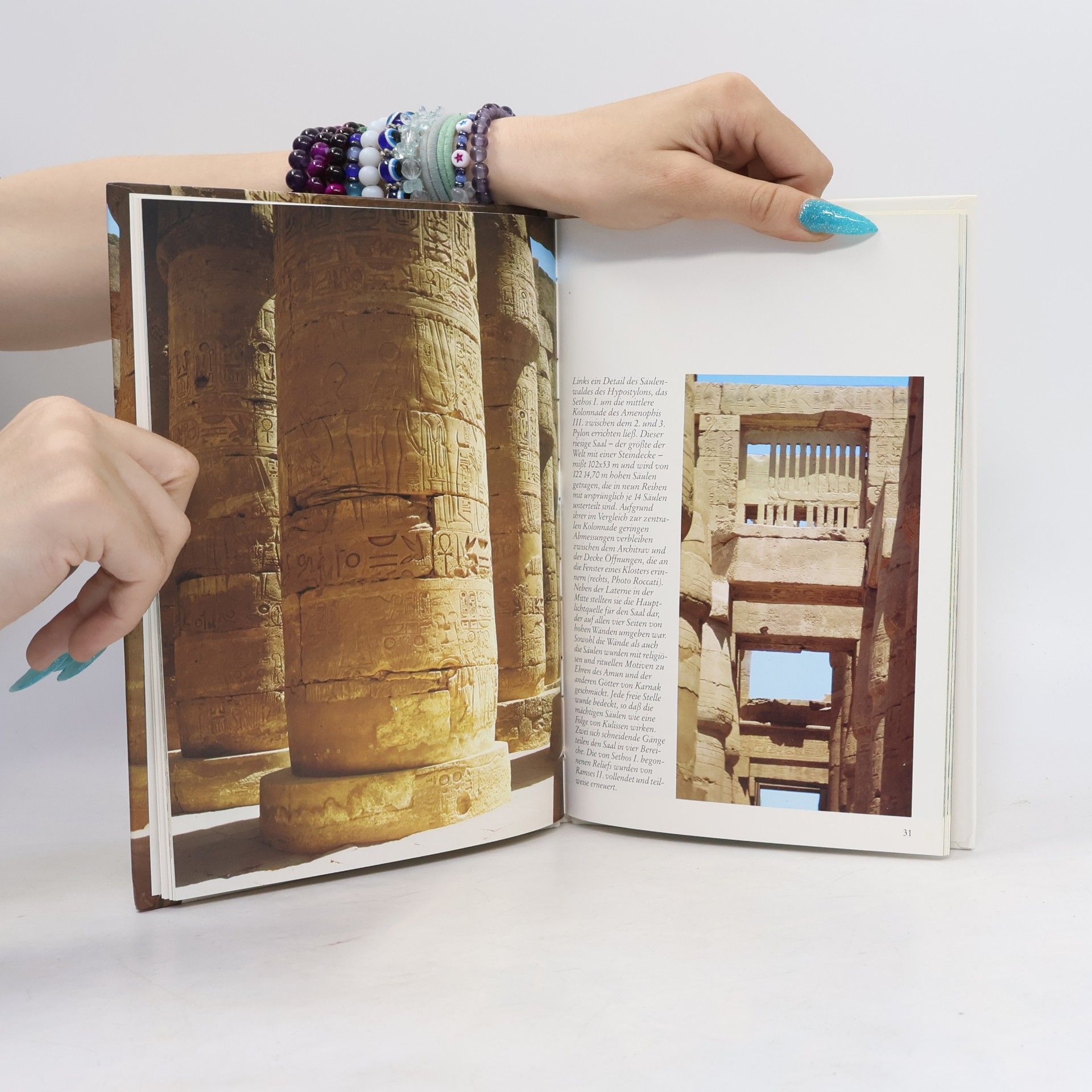 Alessandro Roccati Die Tempel von Karnak und Luxor