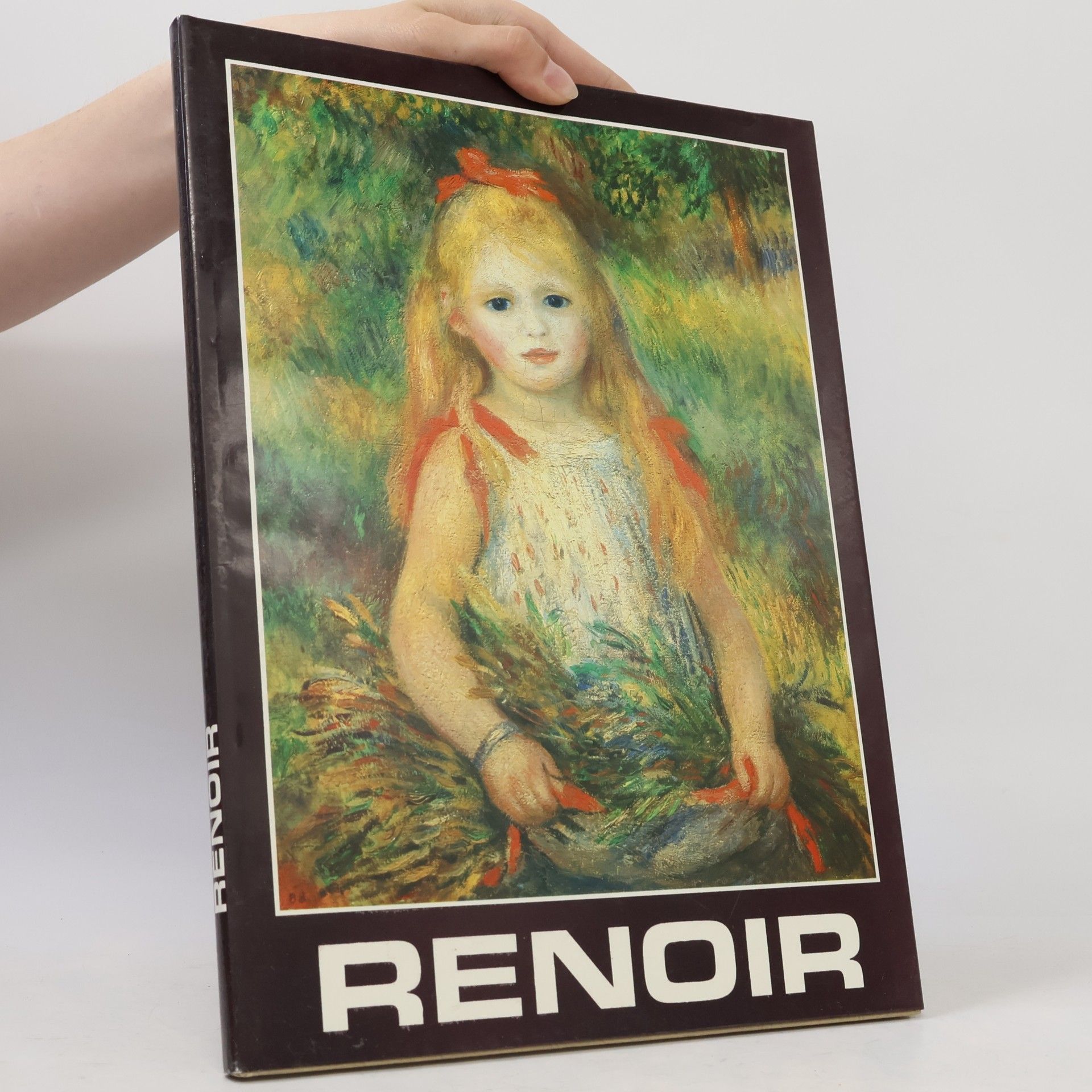 Autorenkollektiv Renoir