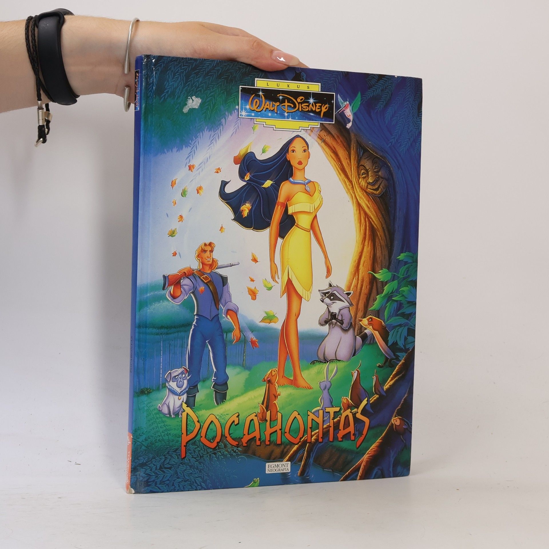 Walt Disney Pocahontas