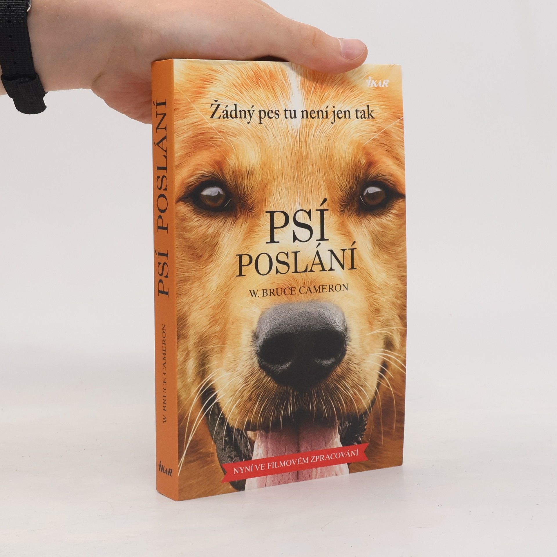 W. Bruce Cameron Psí poslání. Žádný pes tu není jen tak