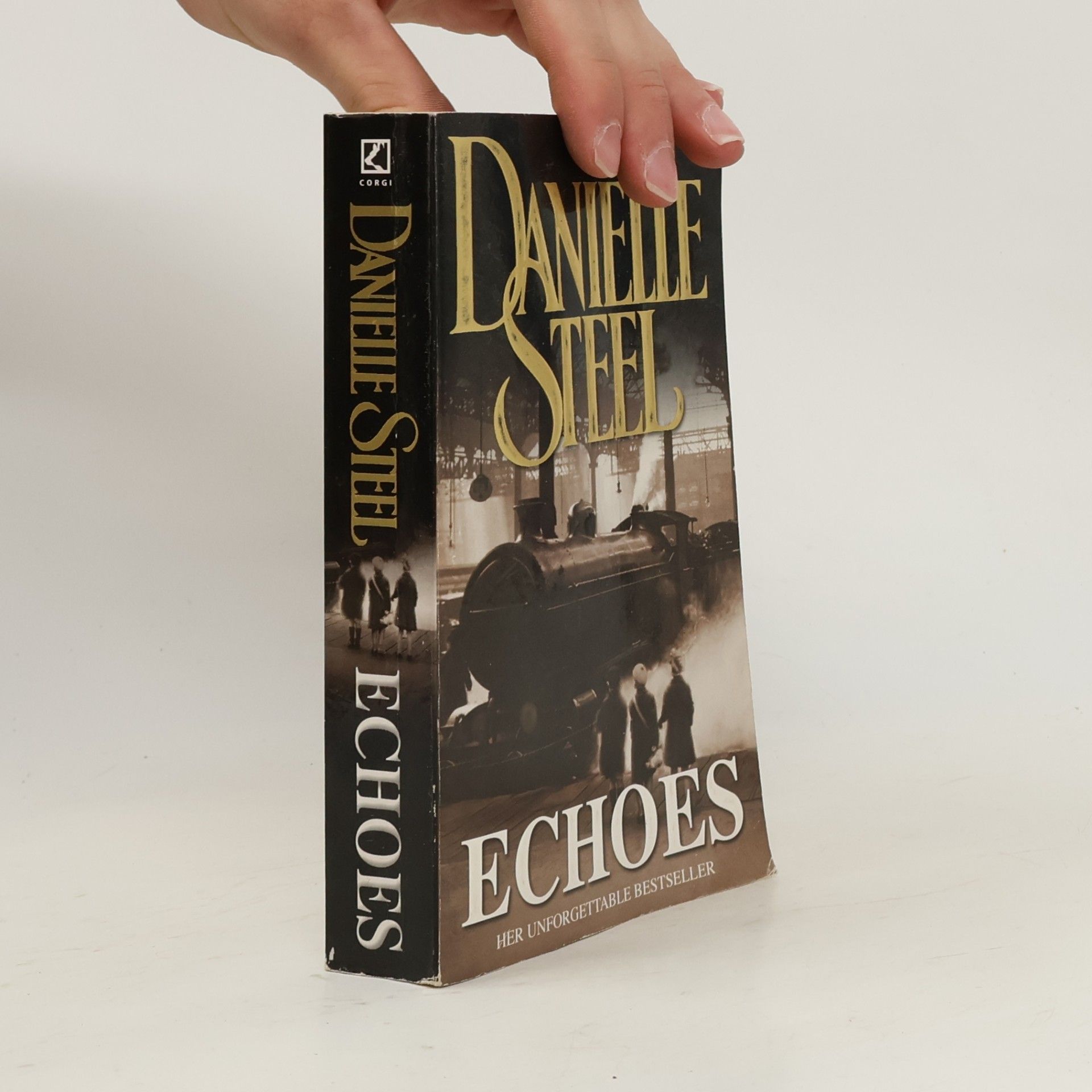 Danielle Steel Echoes