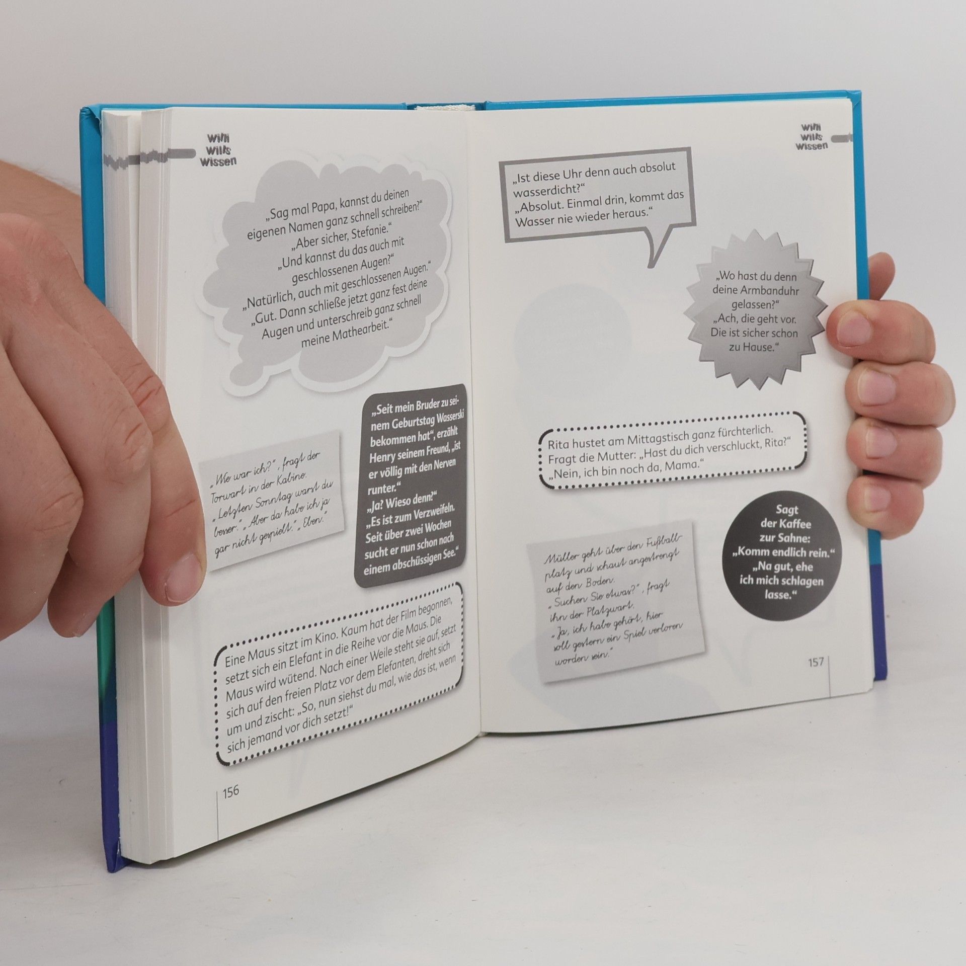 Anna-Maria Bodmer Das große Witzebuch