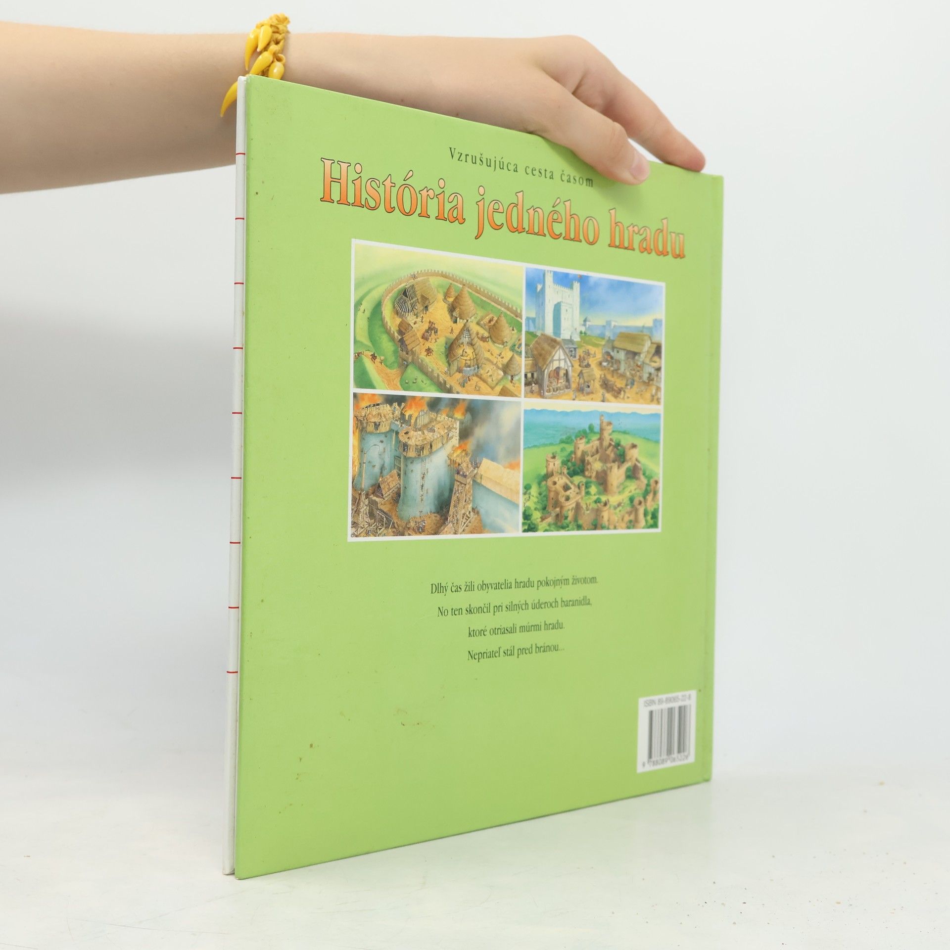 Autorenkollektiv História jedného hradu