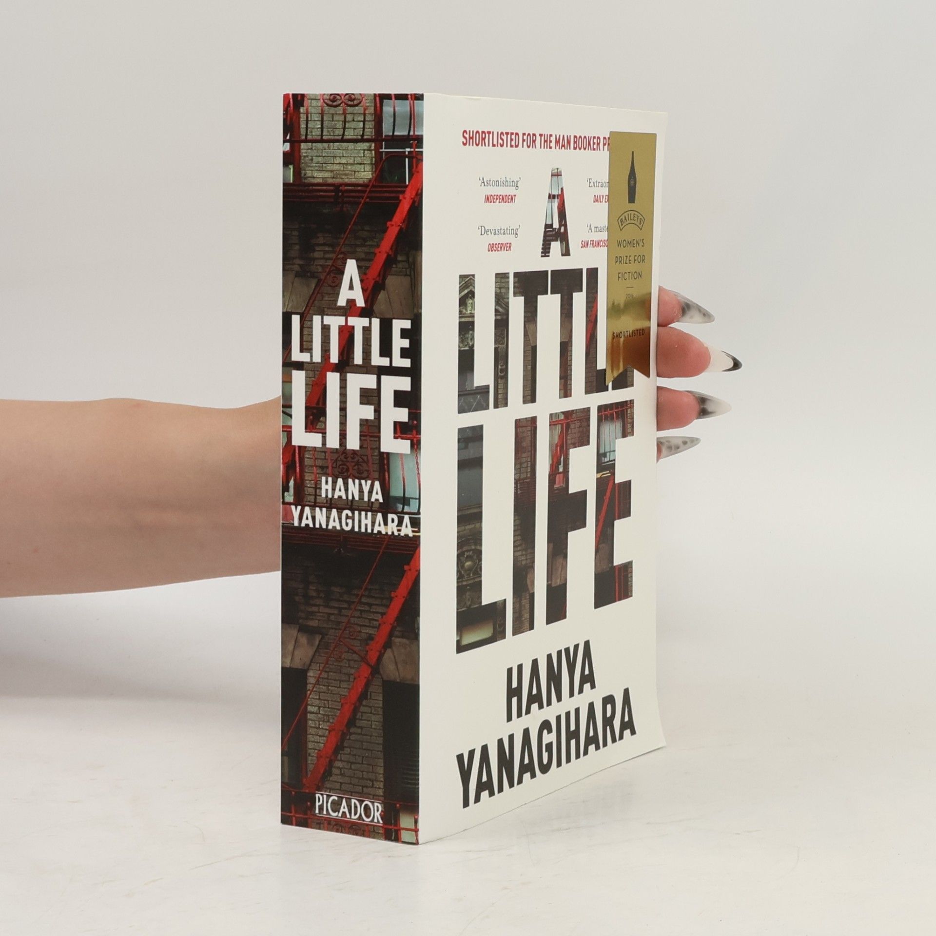 Hanya Yanagihara A Little Life