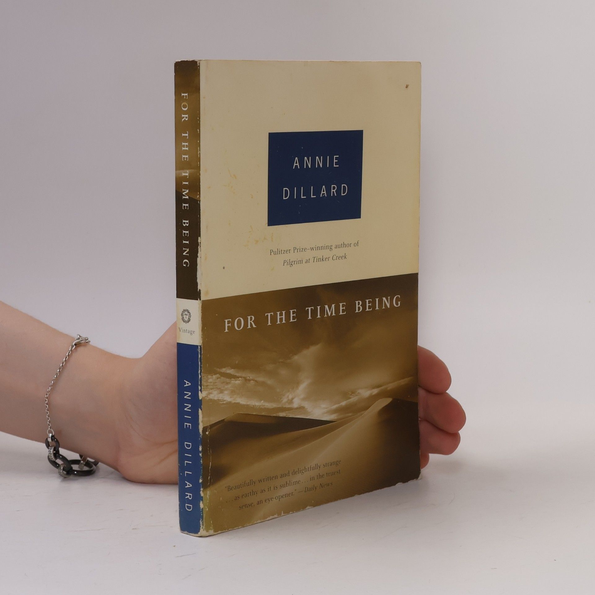 Annie Dillard For the Time Being