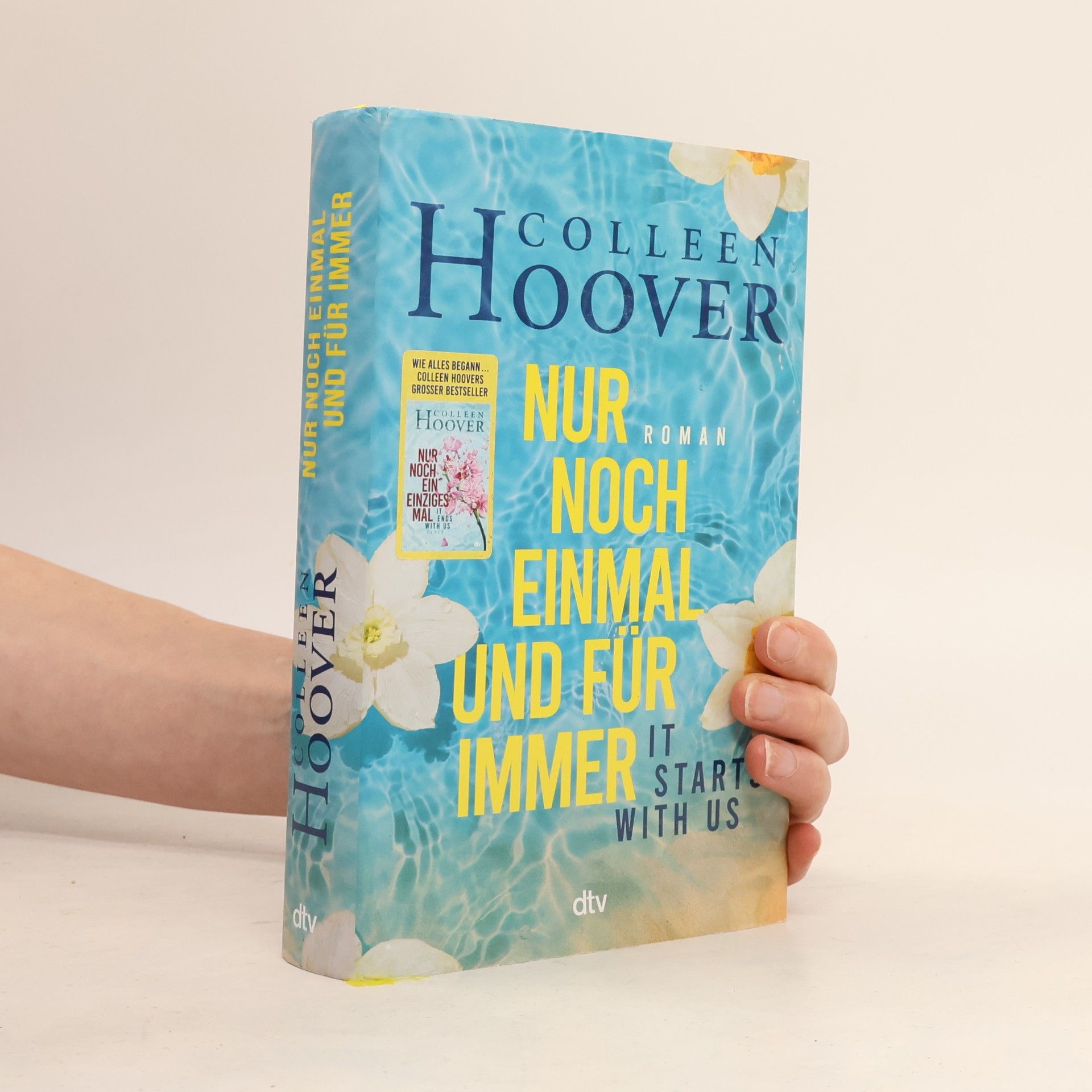 Colleen Hoover Nur noch einmal und für immer