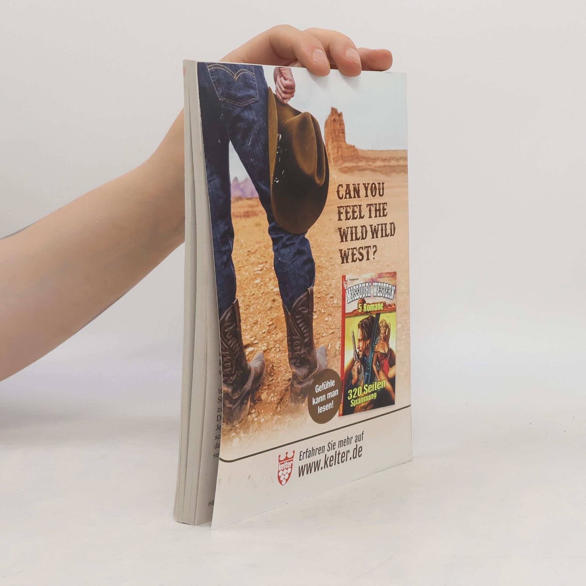 Autorenkollektiv Die grossen Western 250