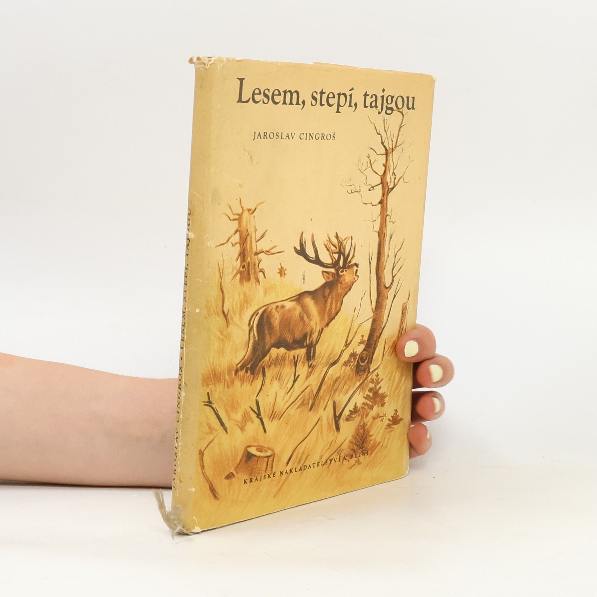 Jaroslav Cingroš Lesem, stepí, tajgou