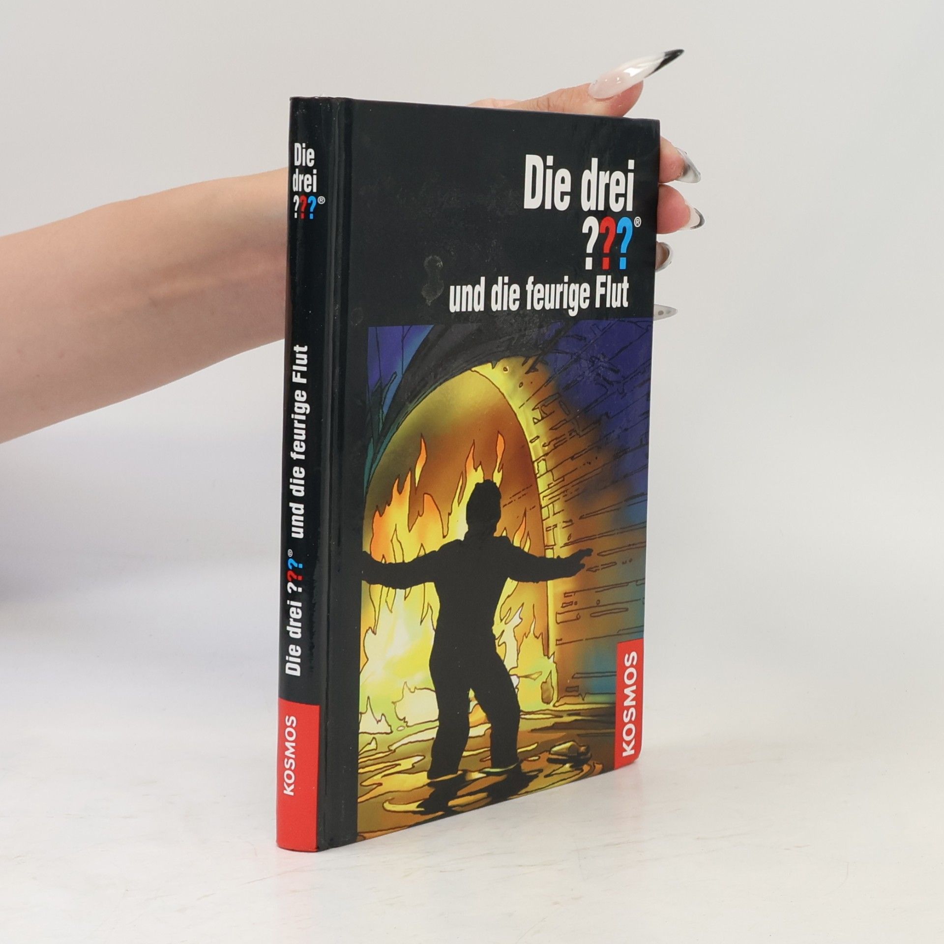 Die drei ??? und die feurige Flut