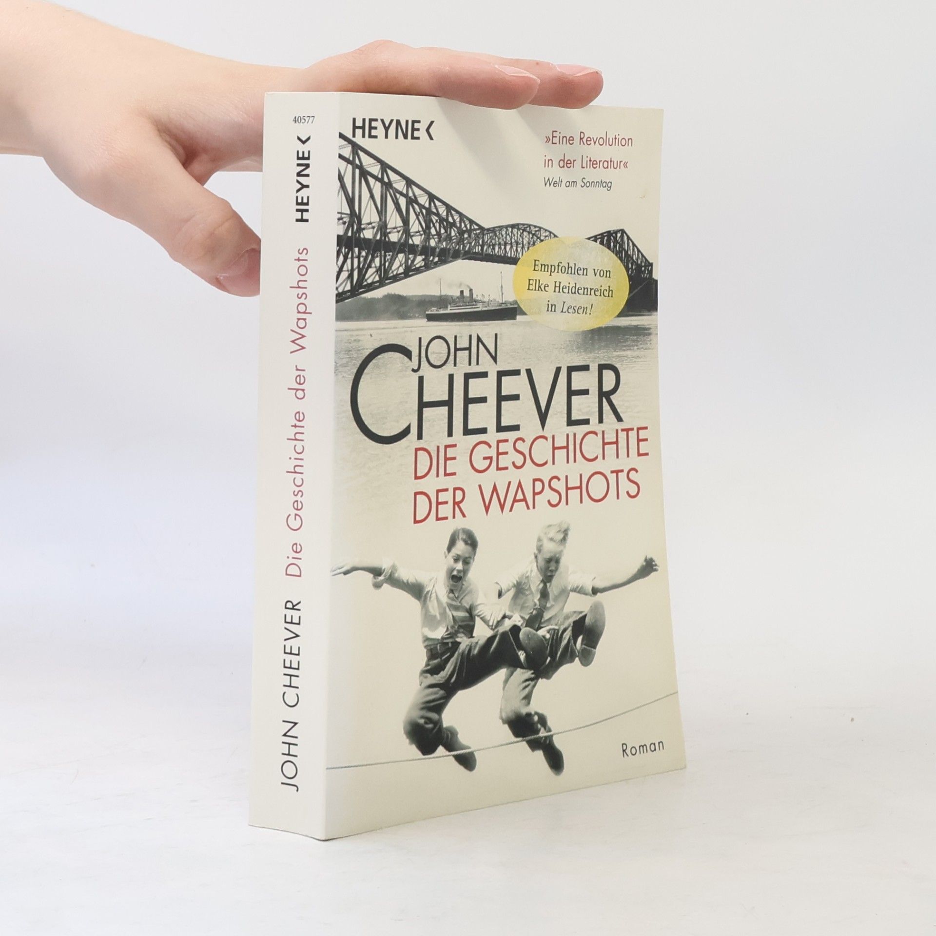 John Cheever Die Geschichte der Wapshots