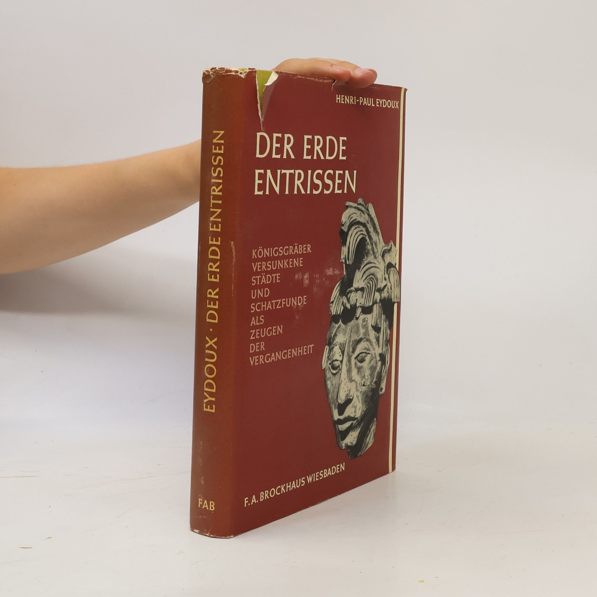 Werner Eduard Saemann Der erde entrissen