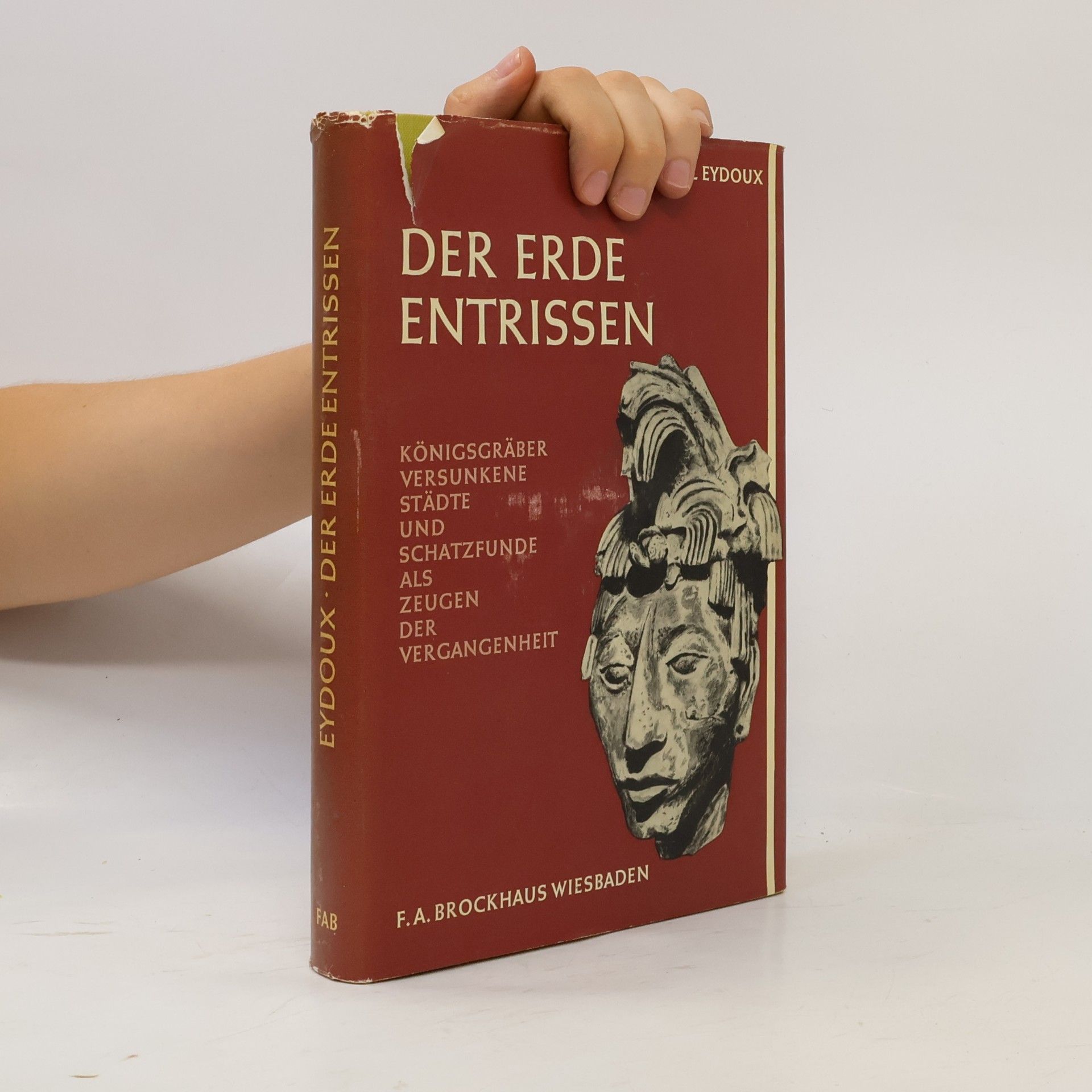 Werner Eduard Saemann Der erde entrissen
