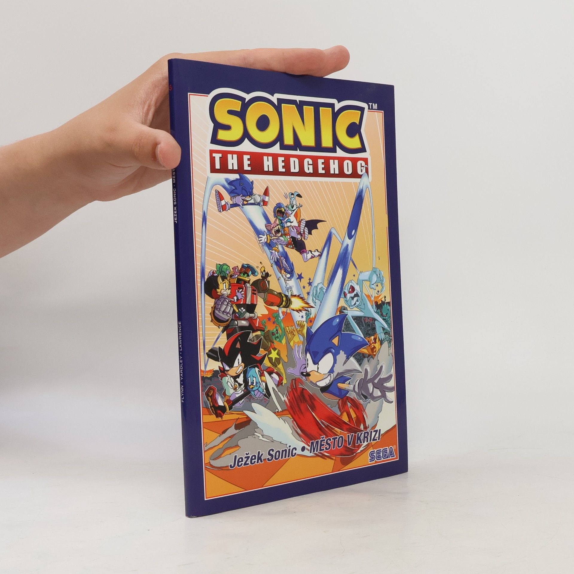Ian Flynn Ježek Sonic 5 - Město v krizi