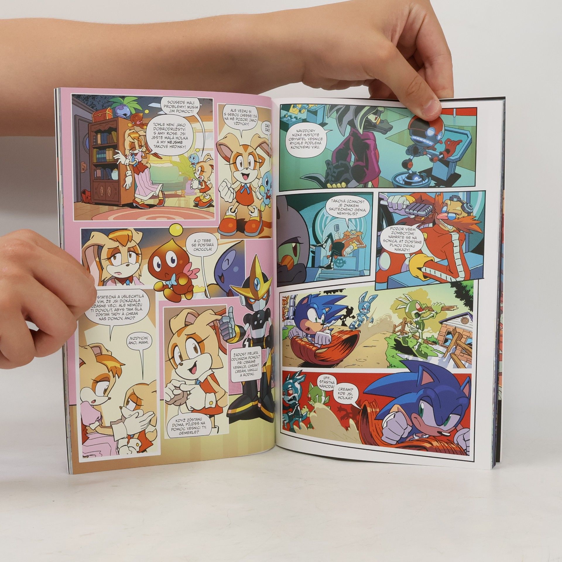 Ian Flynn Ježek Sonic 5 - Město v krizi