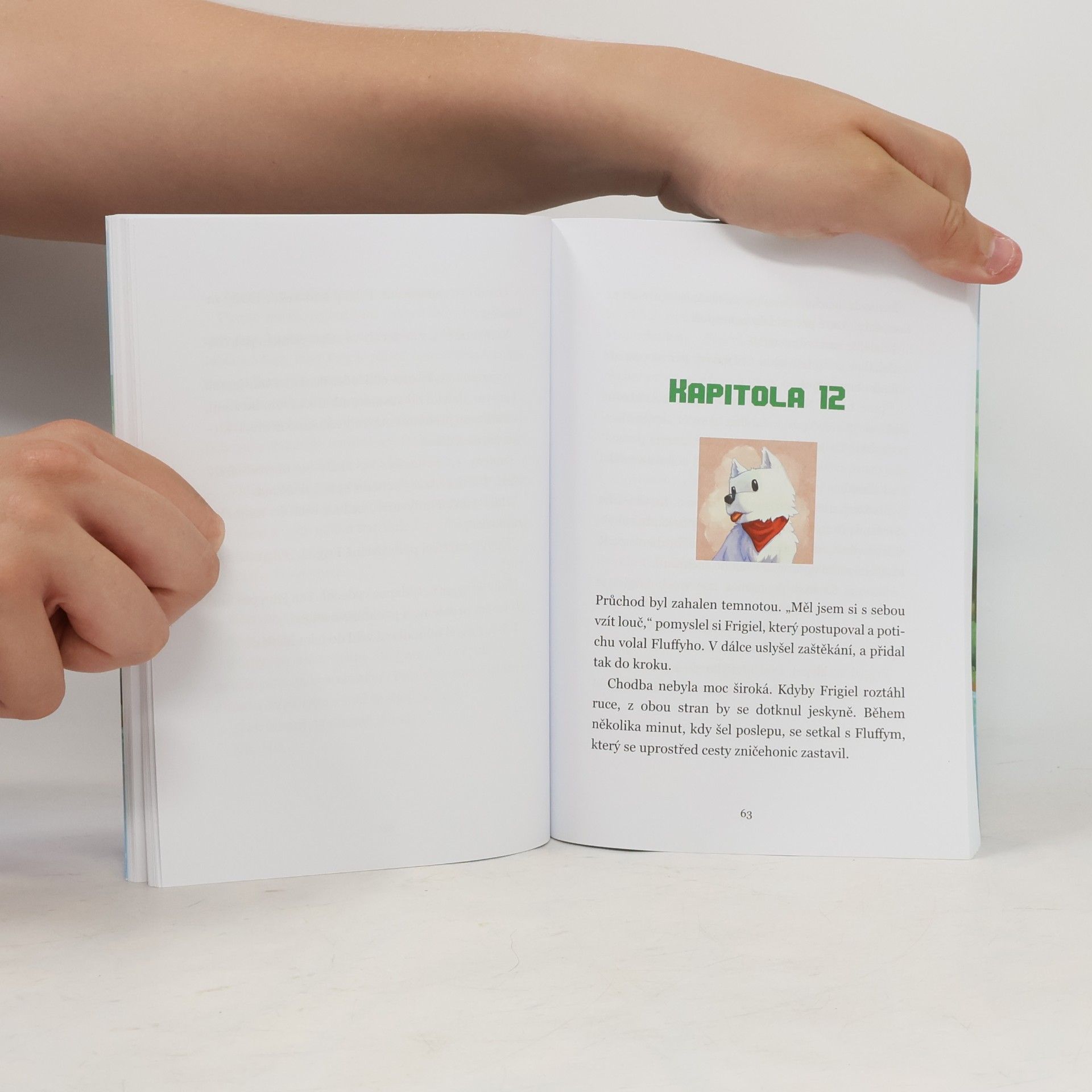 Frigiel Frigiel a Fluffy : dobrodruzi z Minecraftu. 1. díl, Hon za pokladem