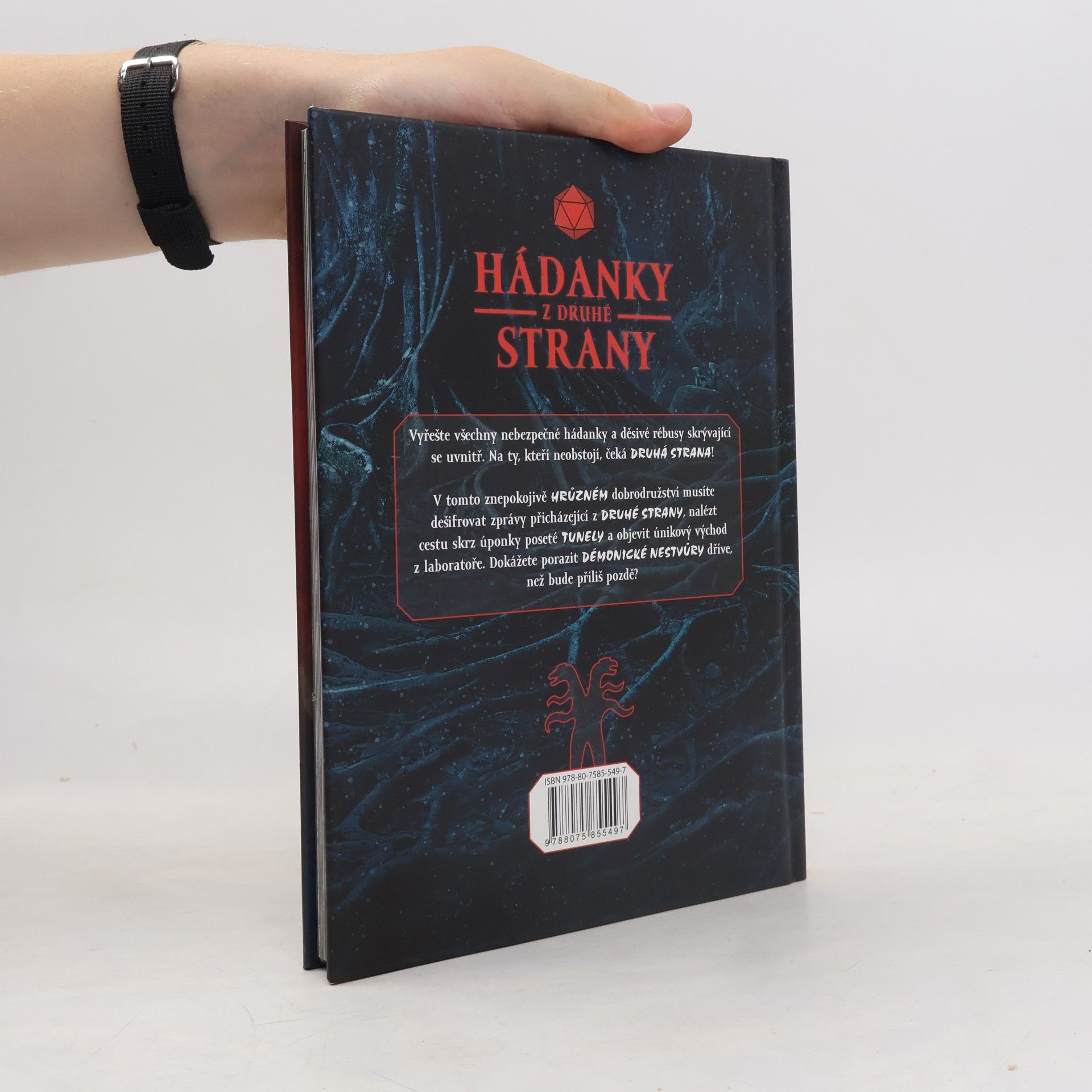 Jason Ward Hádanky z druhé strany. Děsivě návykové dobrodružství plné hlavolamů inspirované světem Stranger things