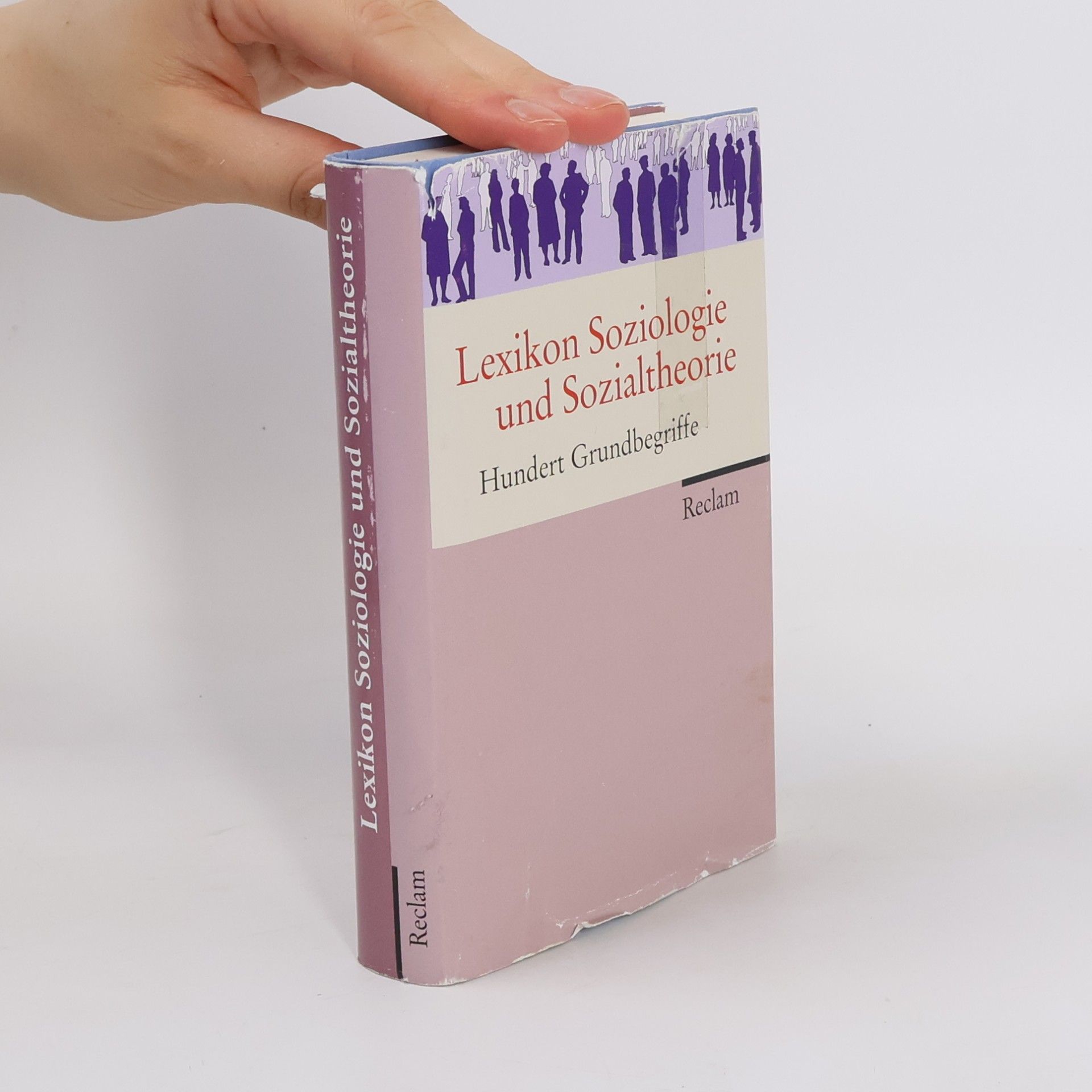 Sina Farzin Lexikon Soziologie und Sozialtheorie