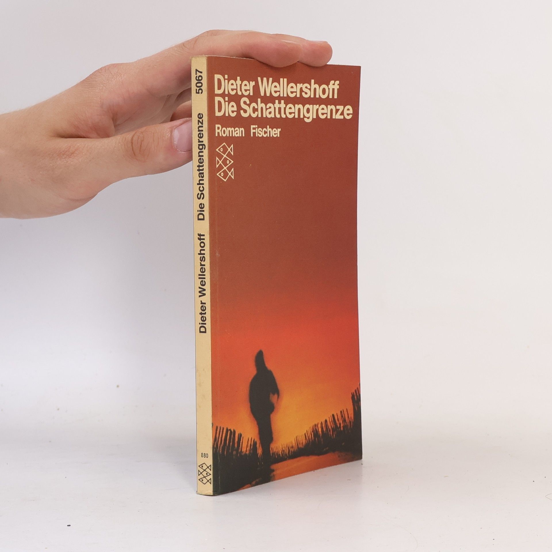 Dieter Wellershoff Die Schattengrenze