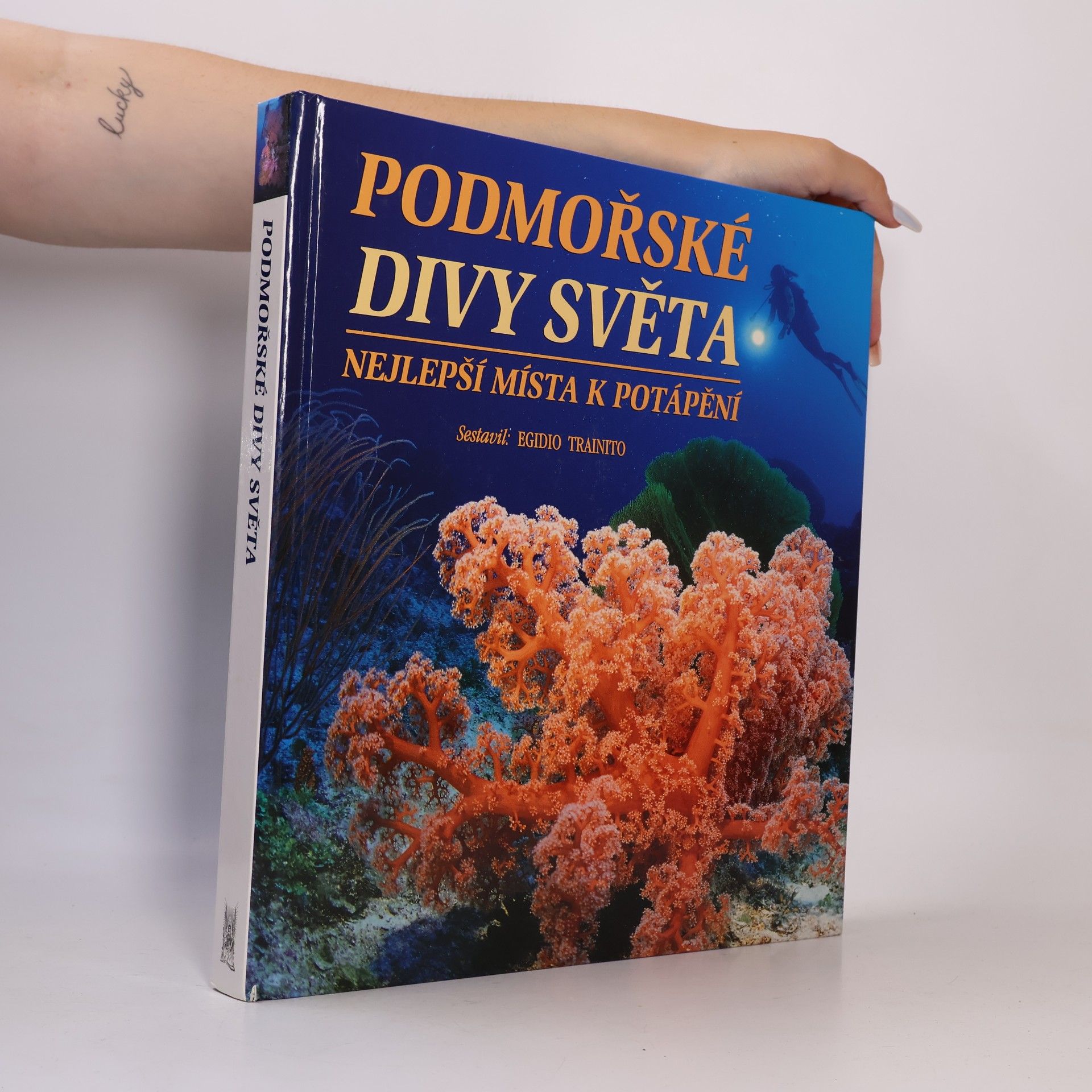 Kurt Amsler Podmořské divy světa. Nejlepší místa k potápění