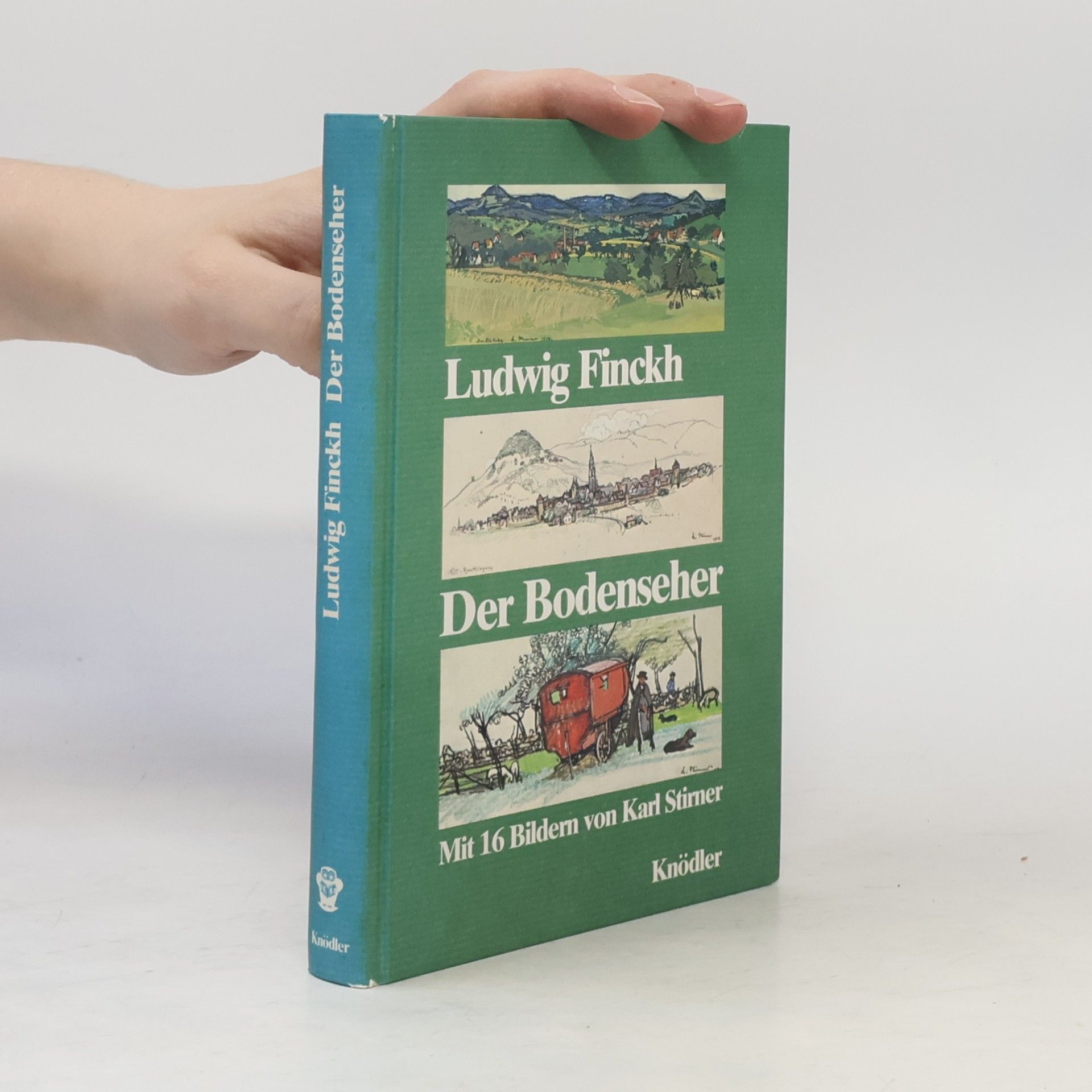 Der Bodenseher