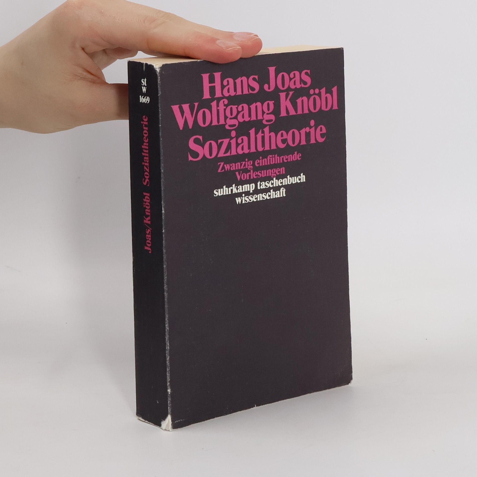 Hans Joas Sozialtheorie