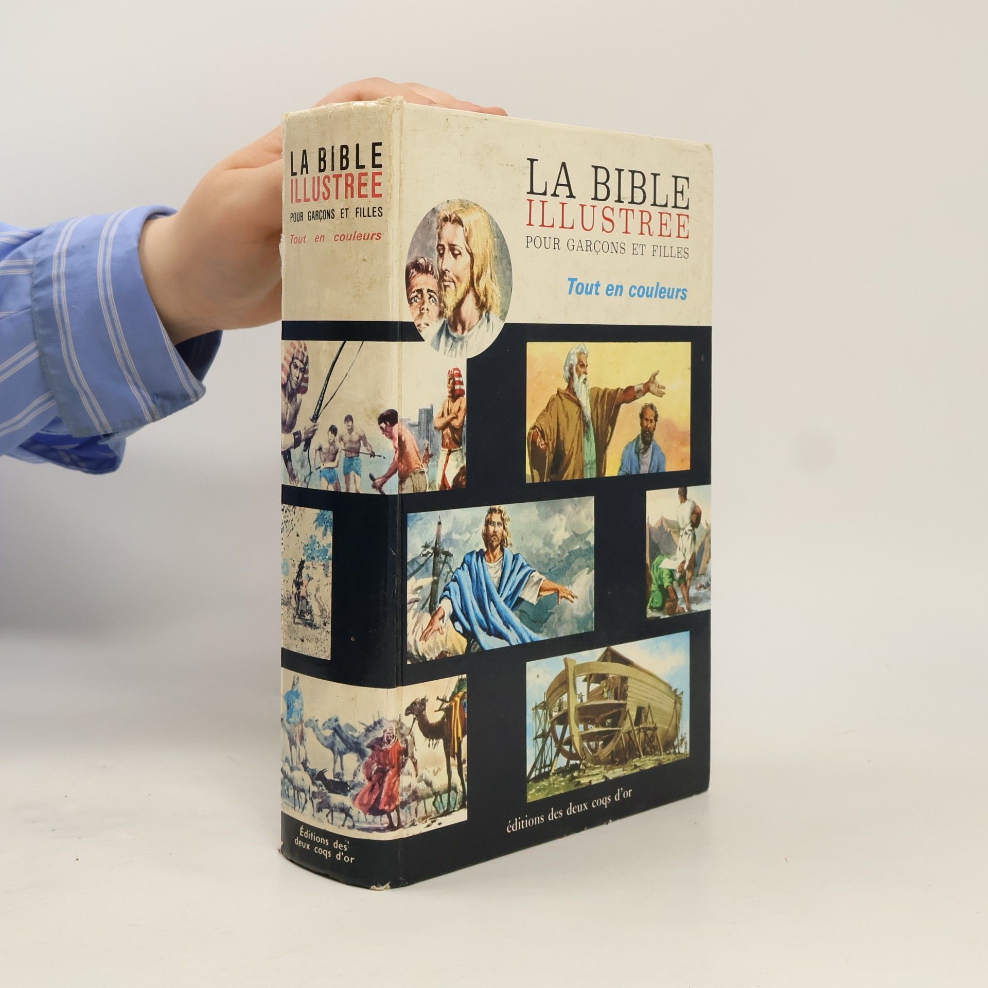 Kolektiv autorů La Bible Illustree