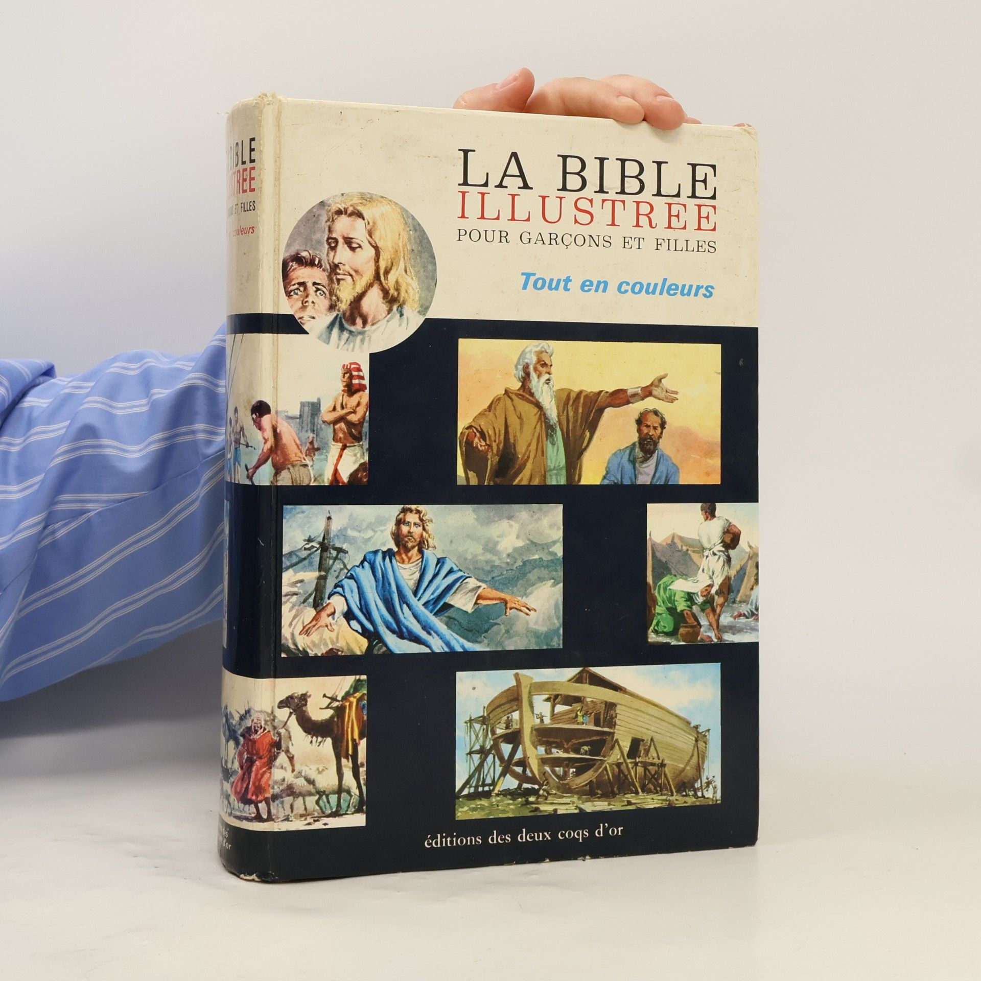 Kolektiv autorů La Bible Illustree
