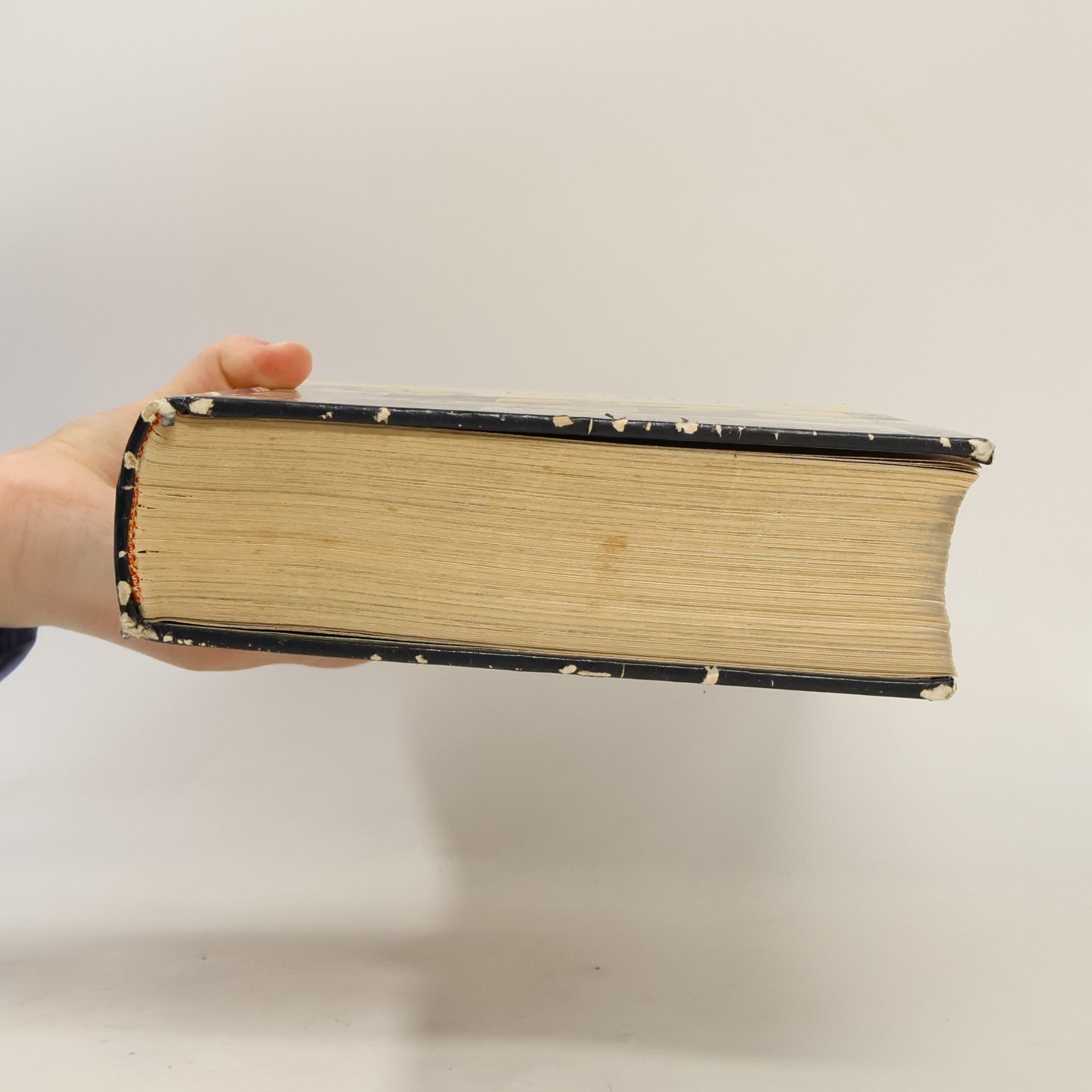 Kolektiv autorů La Bible Illustree