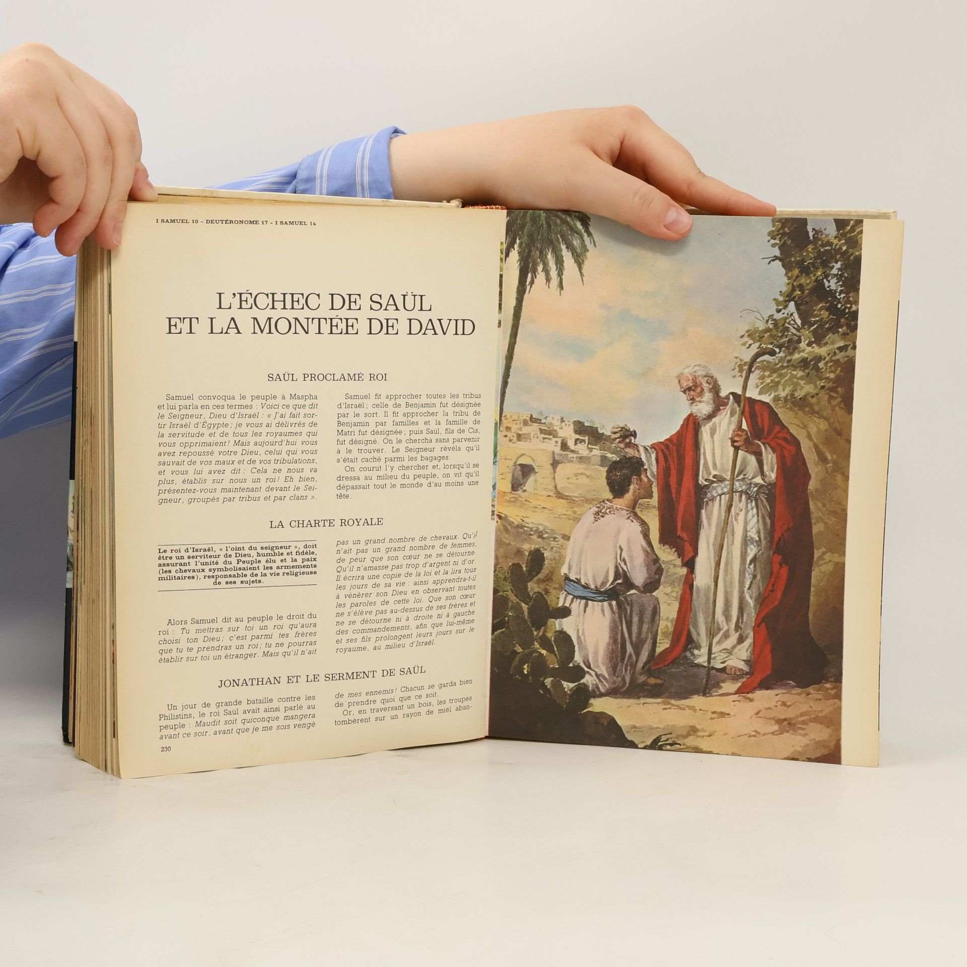 Kolektiv autorů La Bible Illustree