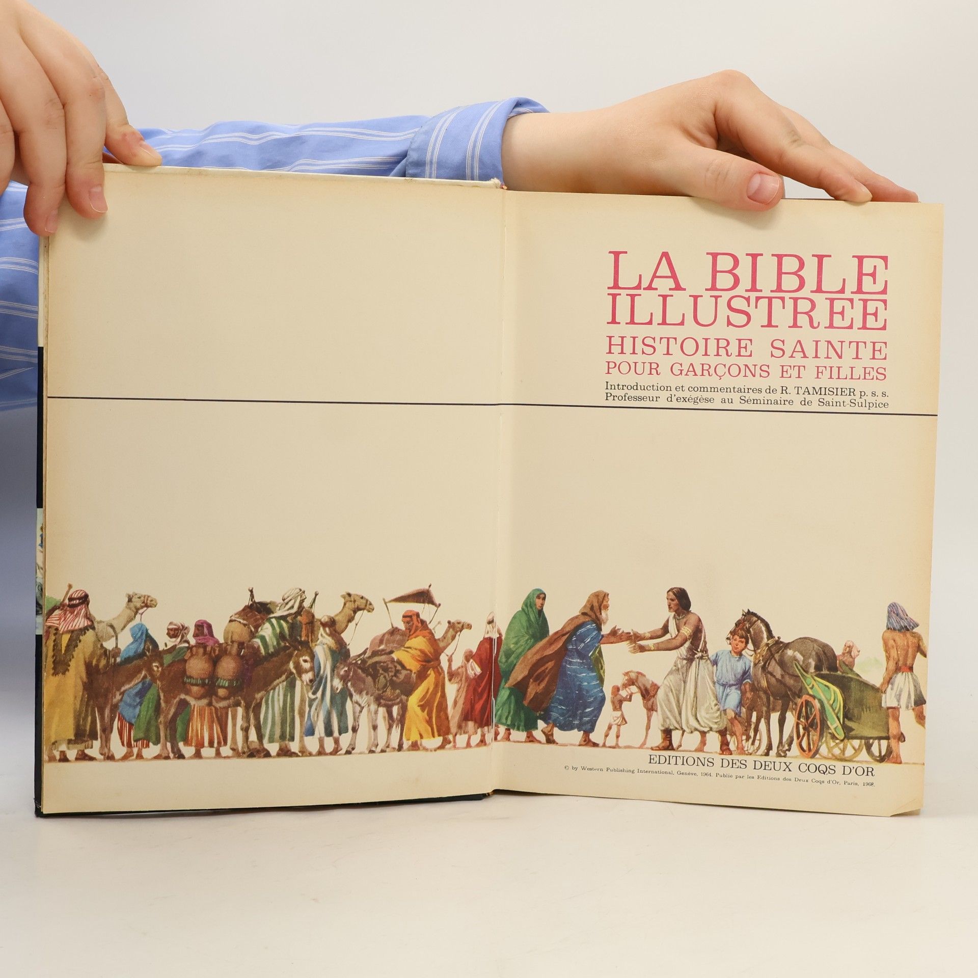 Kolektiv autorů La Bible Illustree