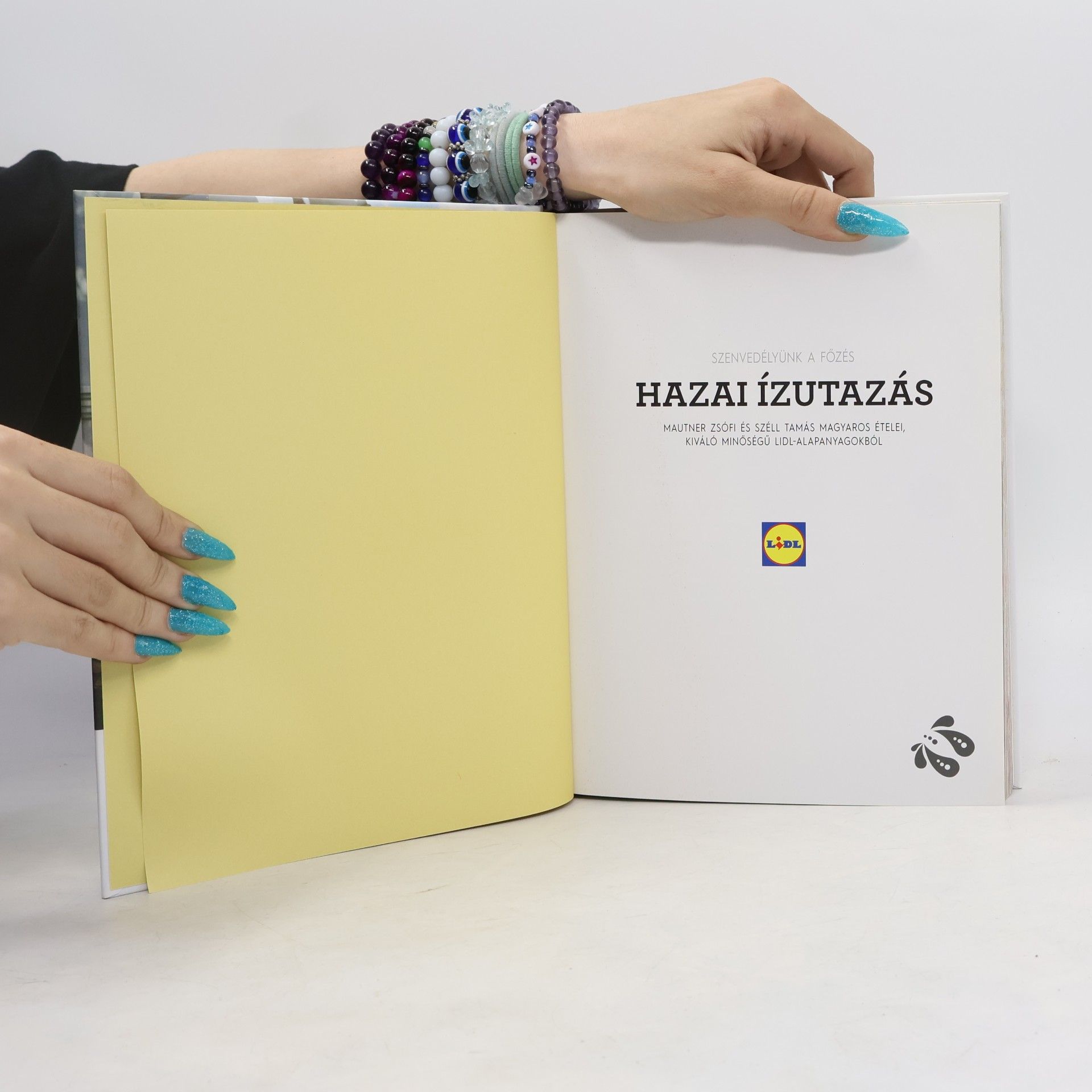 Kolektiv autorů Hazai ízutazás
