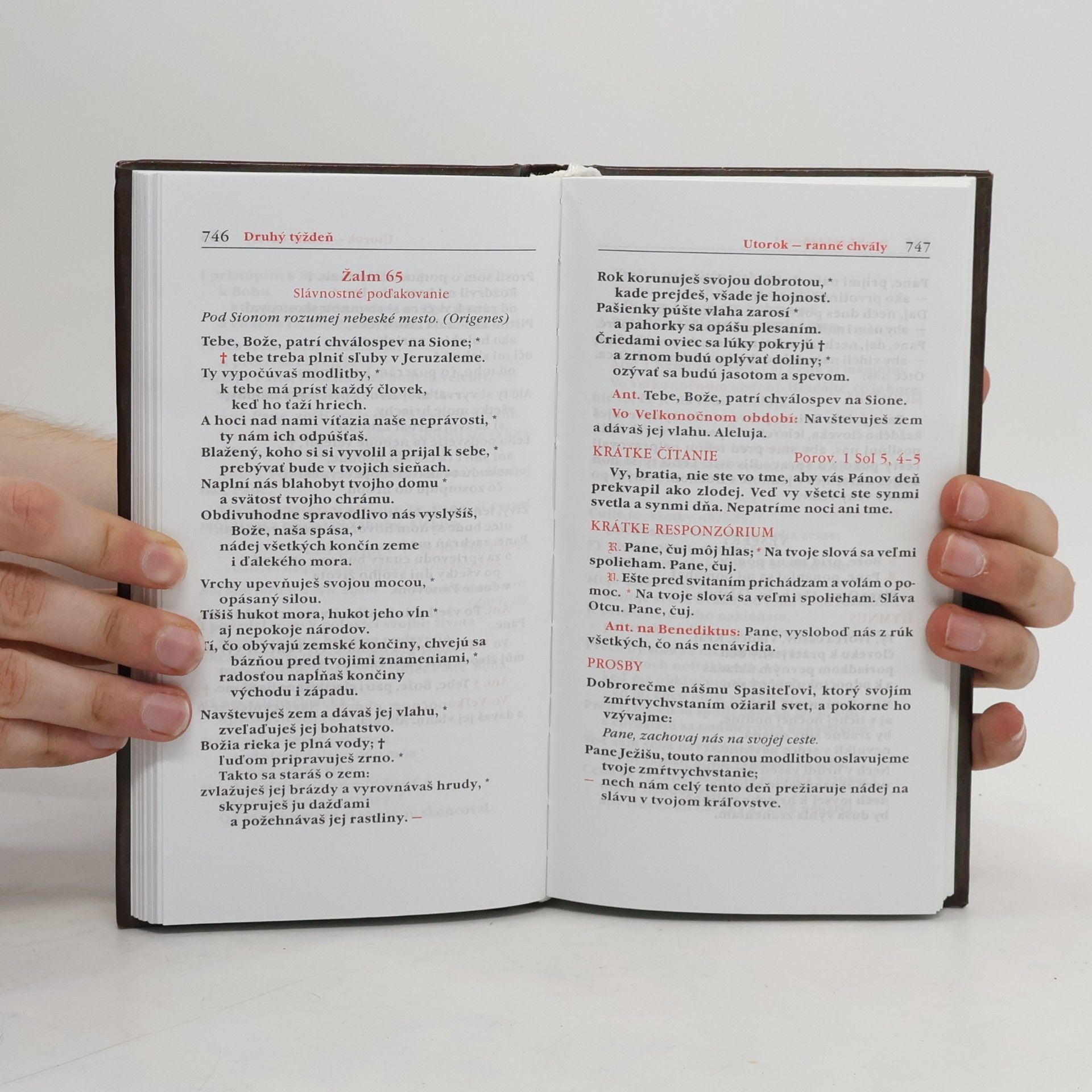 Autores varios Liturgia hodin na posvätenie času