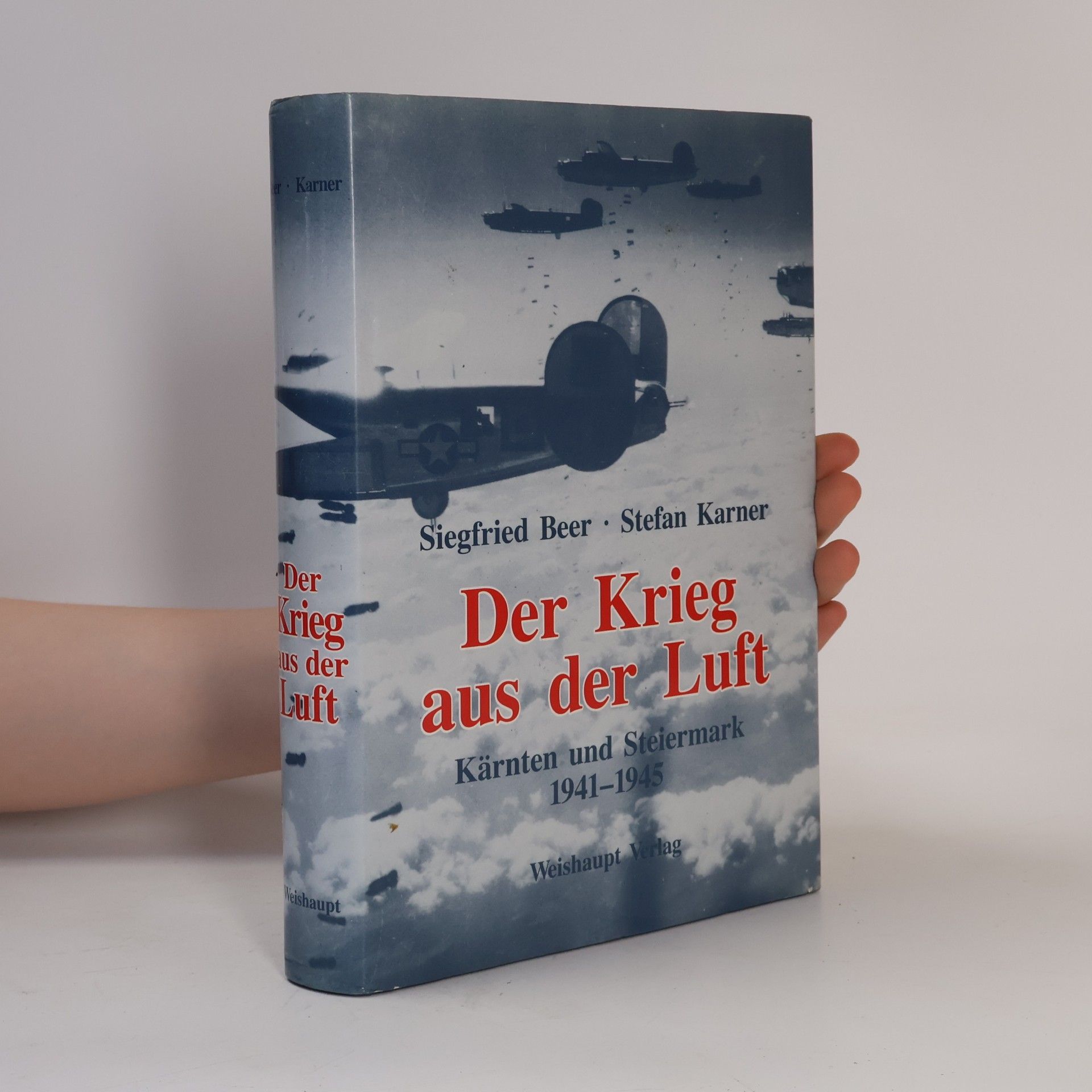 Siegfried Beer Der Krieg aus der Luft