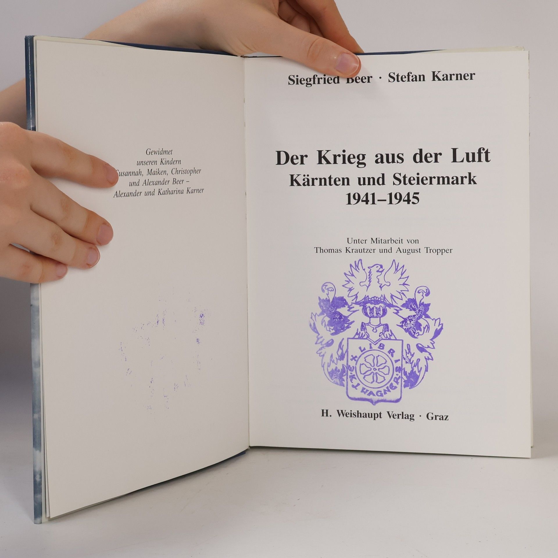 Siegfried Beer Der Krieg aus der Luft