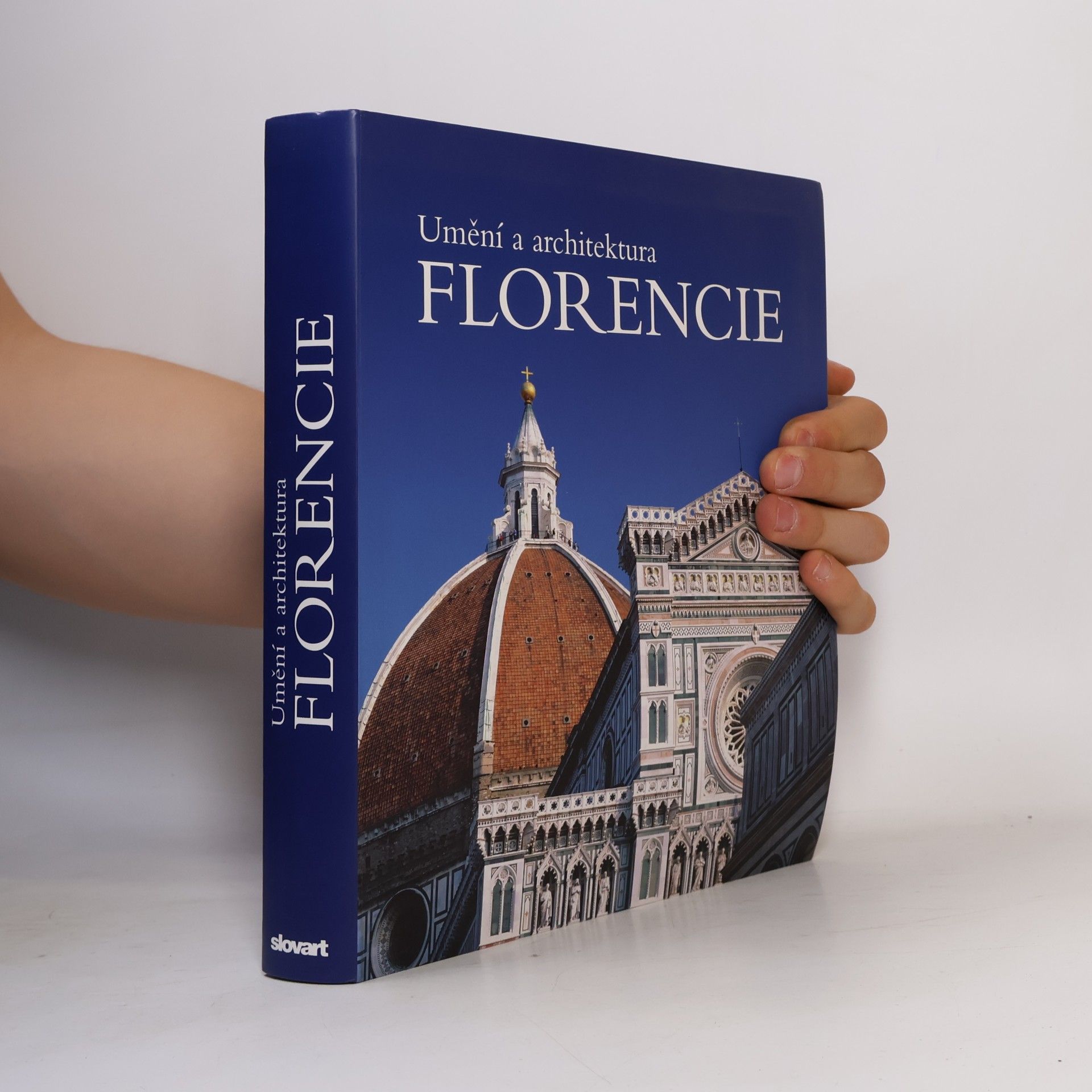 Silvestra Bietoletti Florencie : umění a architektura