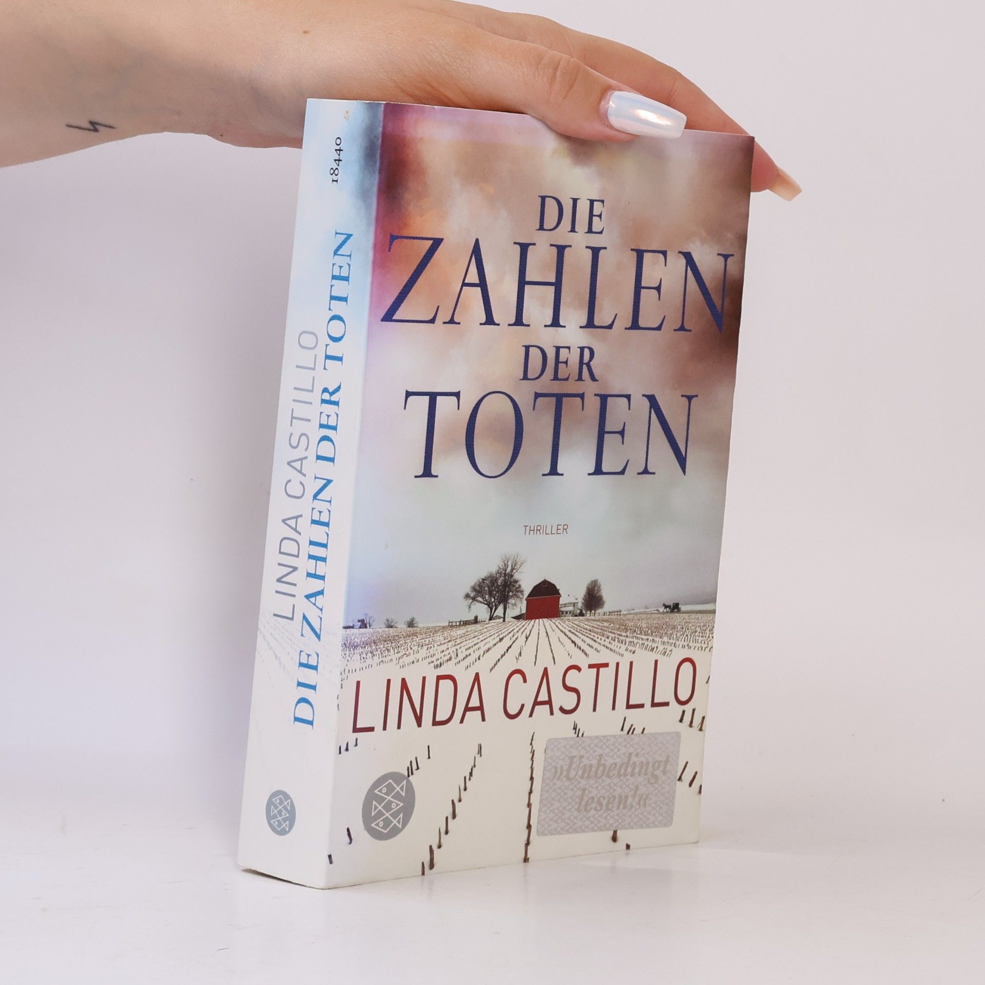 Linda Castillo Die Zahlen der Toten