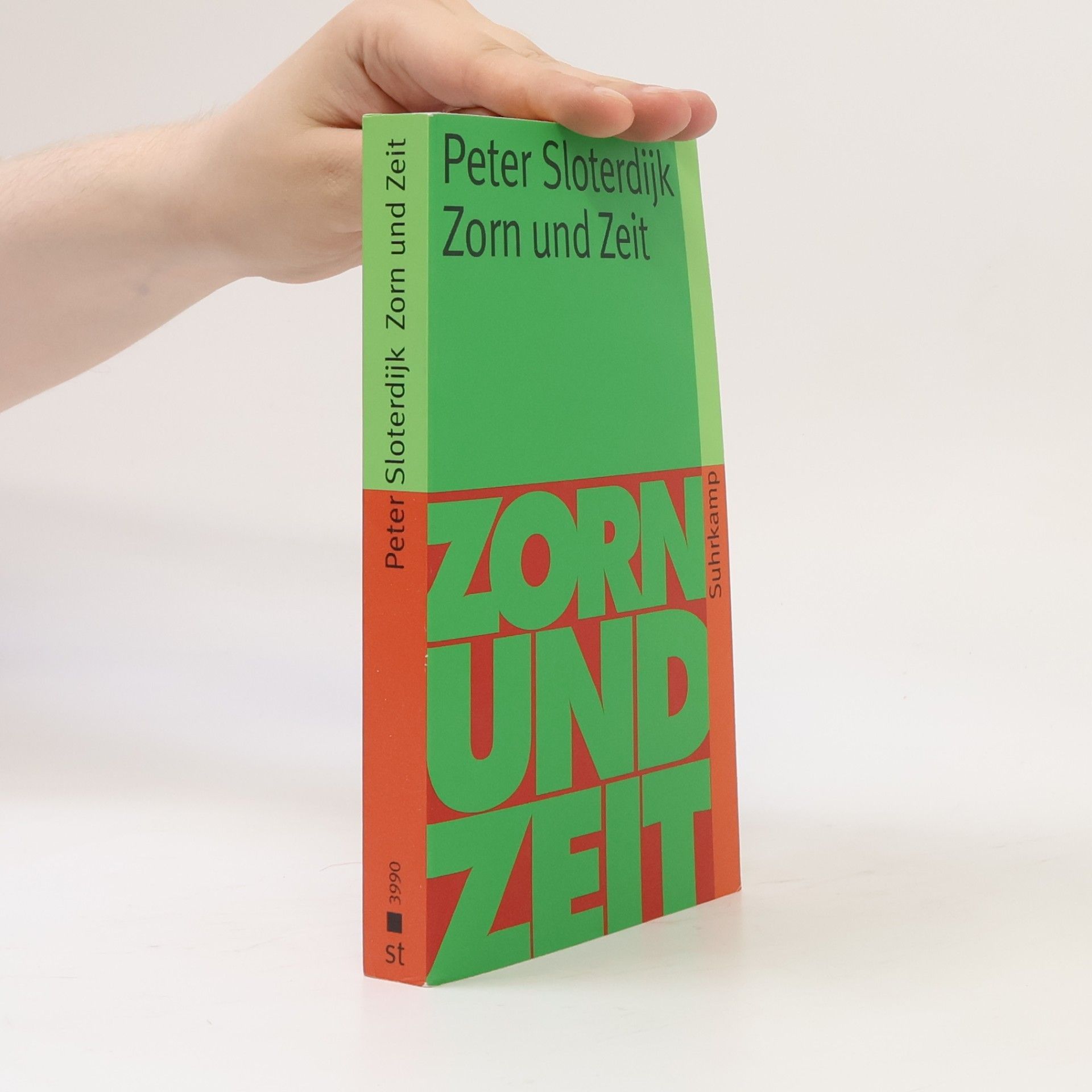 Peter Sloterdijk Zorn und Zeit