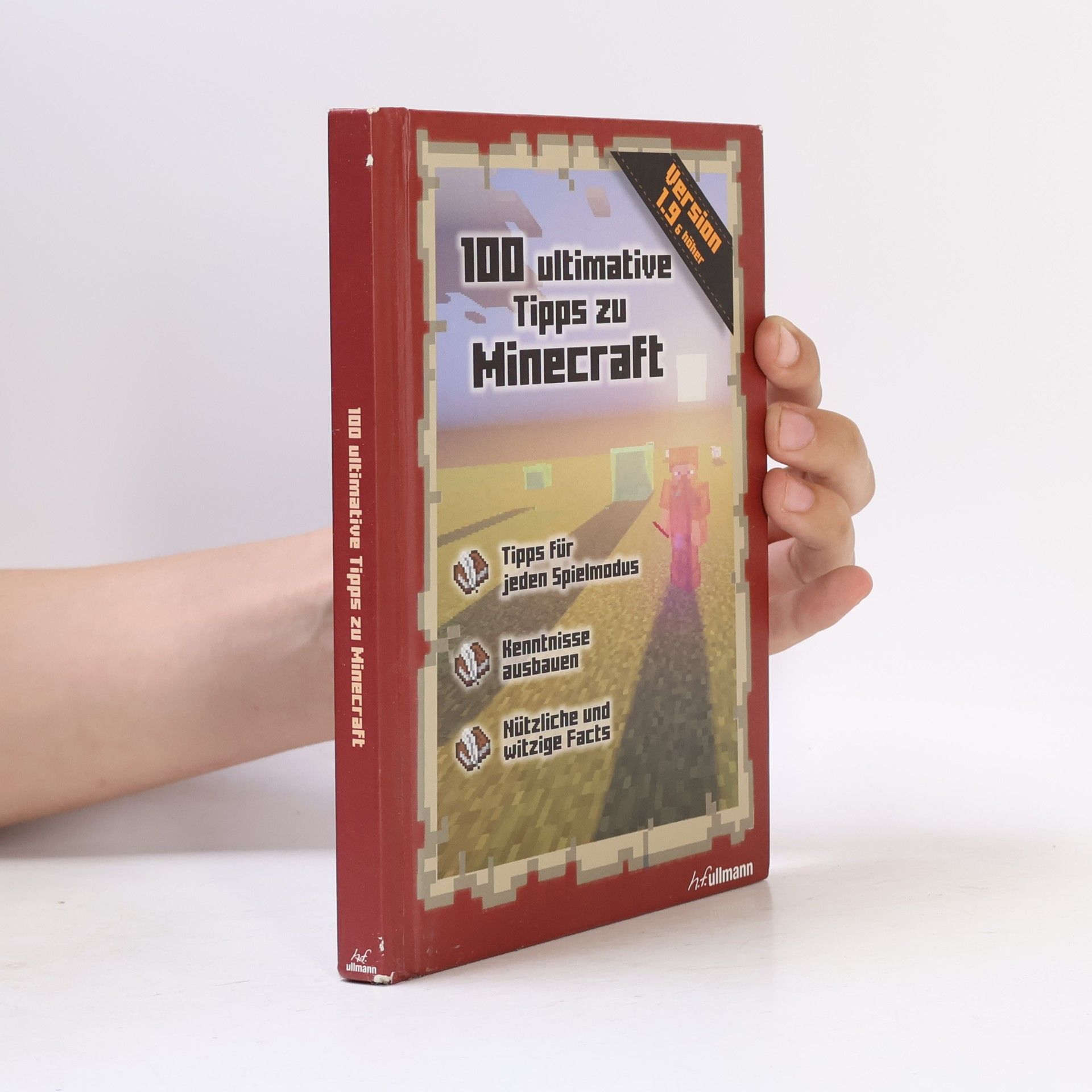 Stéphane Pilet 100 ultimative Tipps zu Minecraft