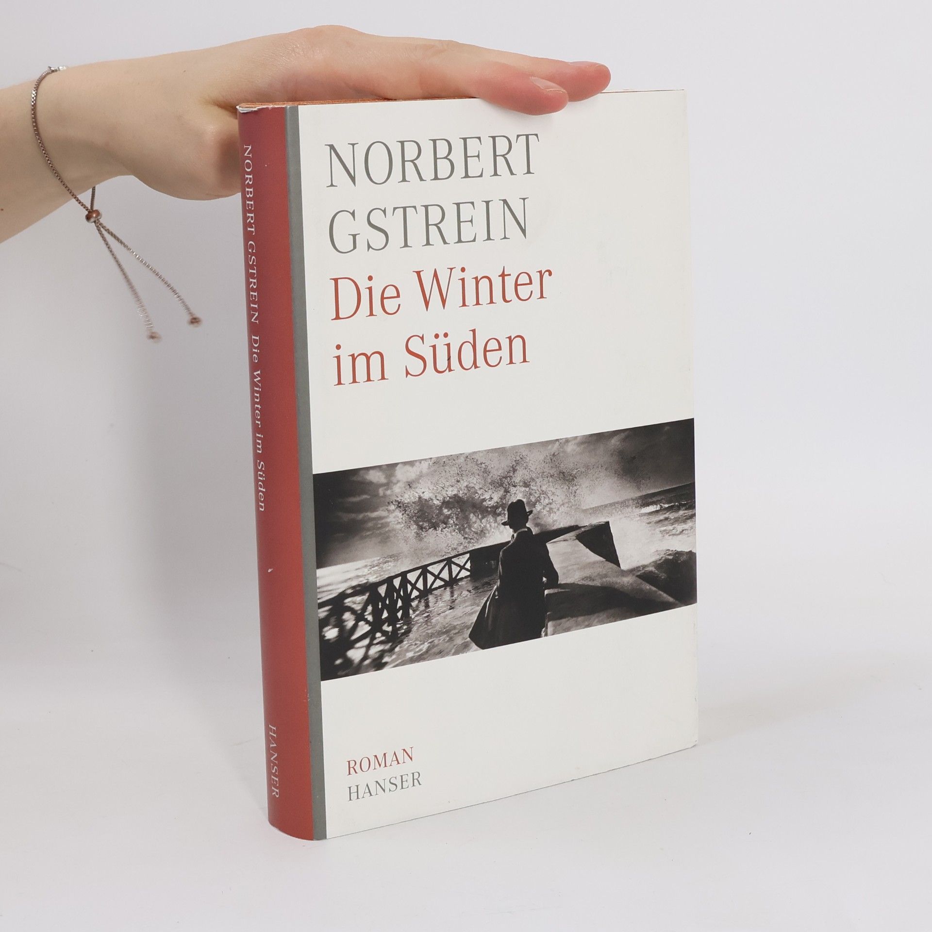 Norbert Gstrein Die Winter im Süden