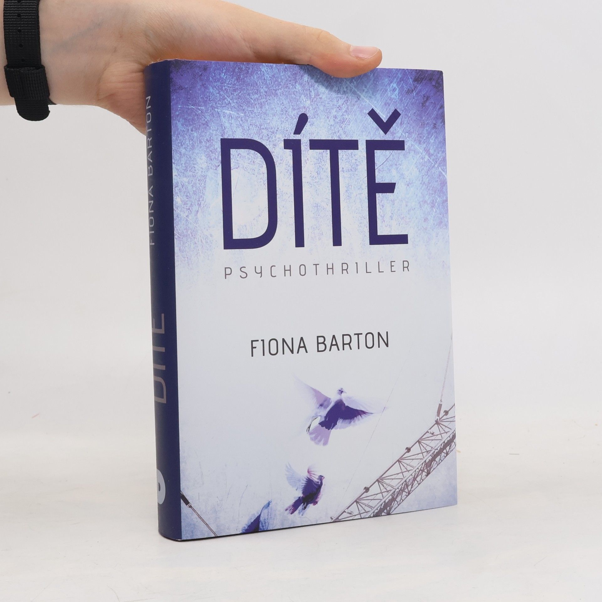 Fiona Barton Dítě