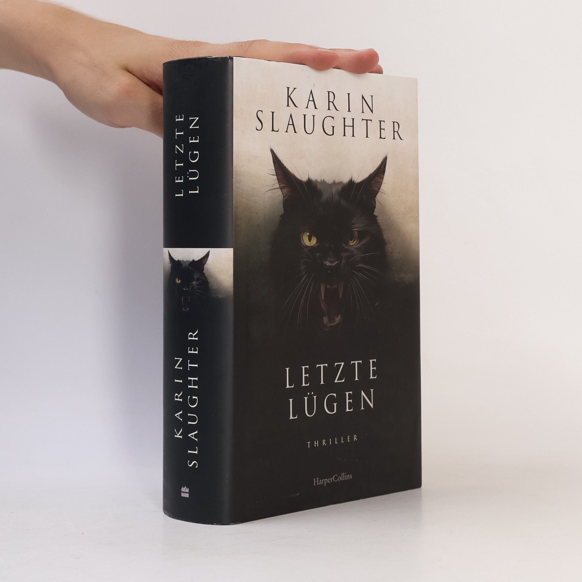Karin Slaughter Die letzte Nacht