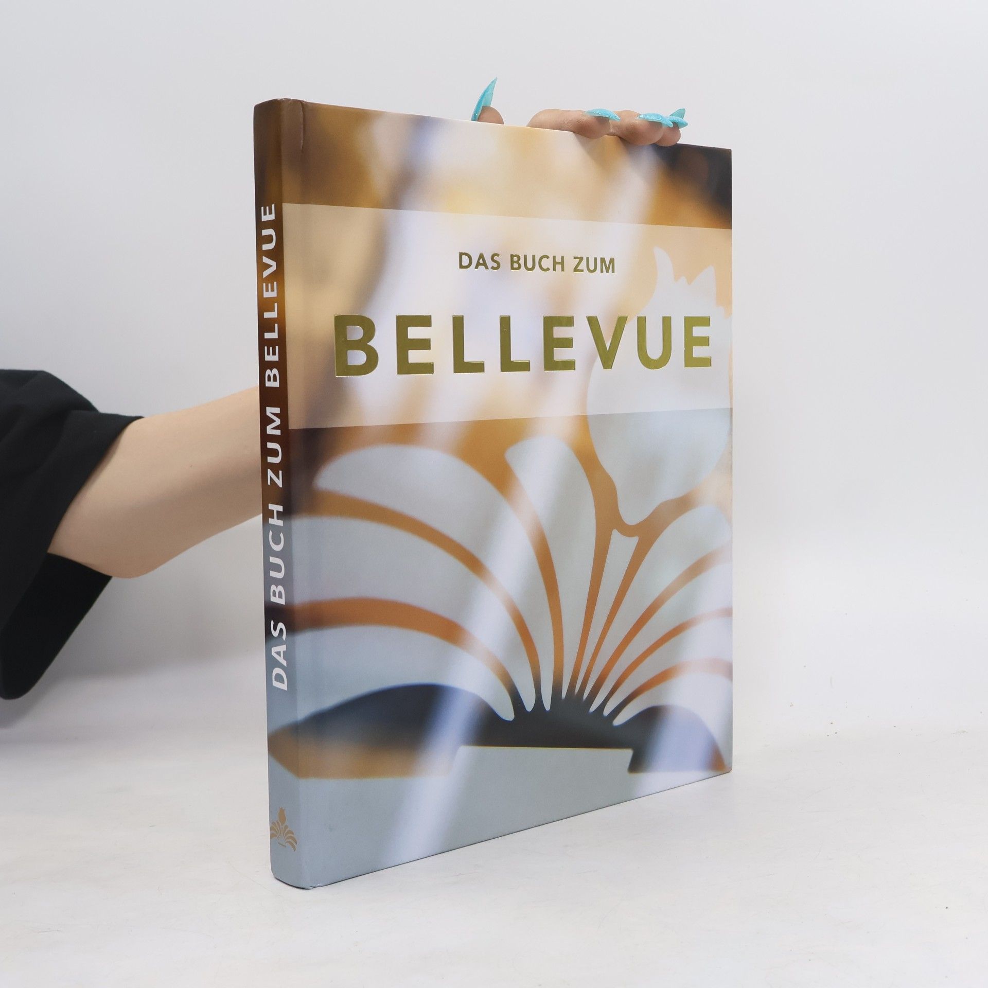 Monika Lokau Das Buch zum Bellevue