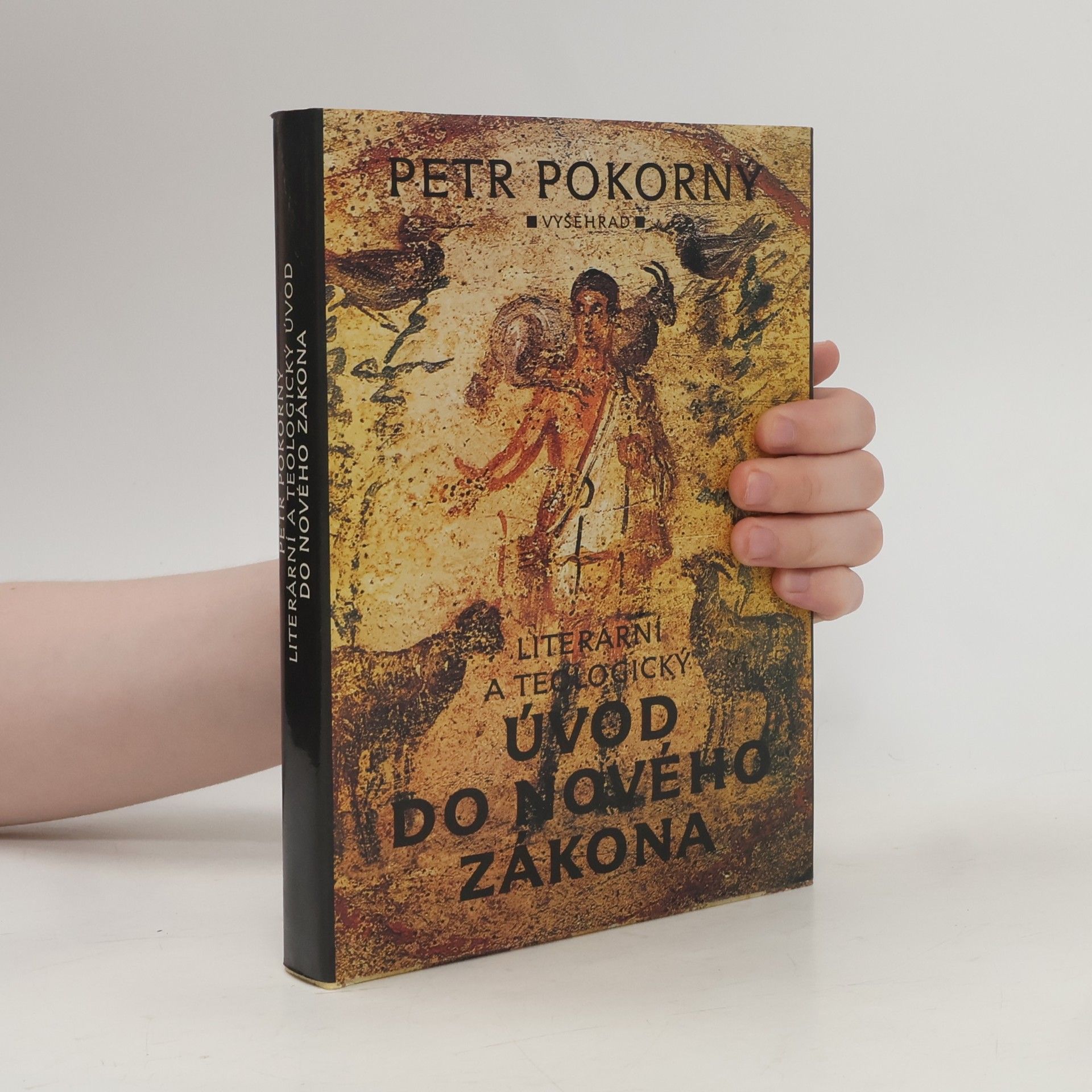Petr Pokorný Literární a teologický úvod do Nového zákona