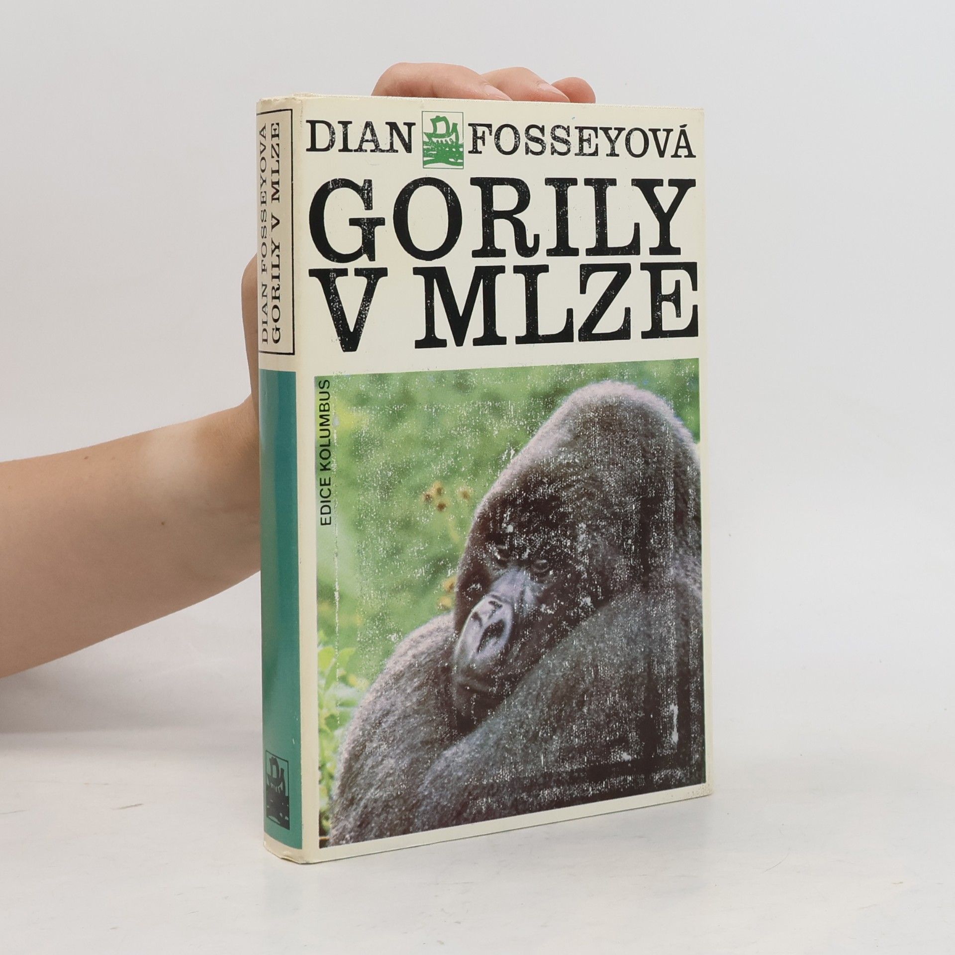 Dian Fossey Gorily v mlze