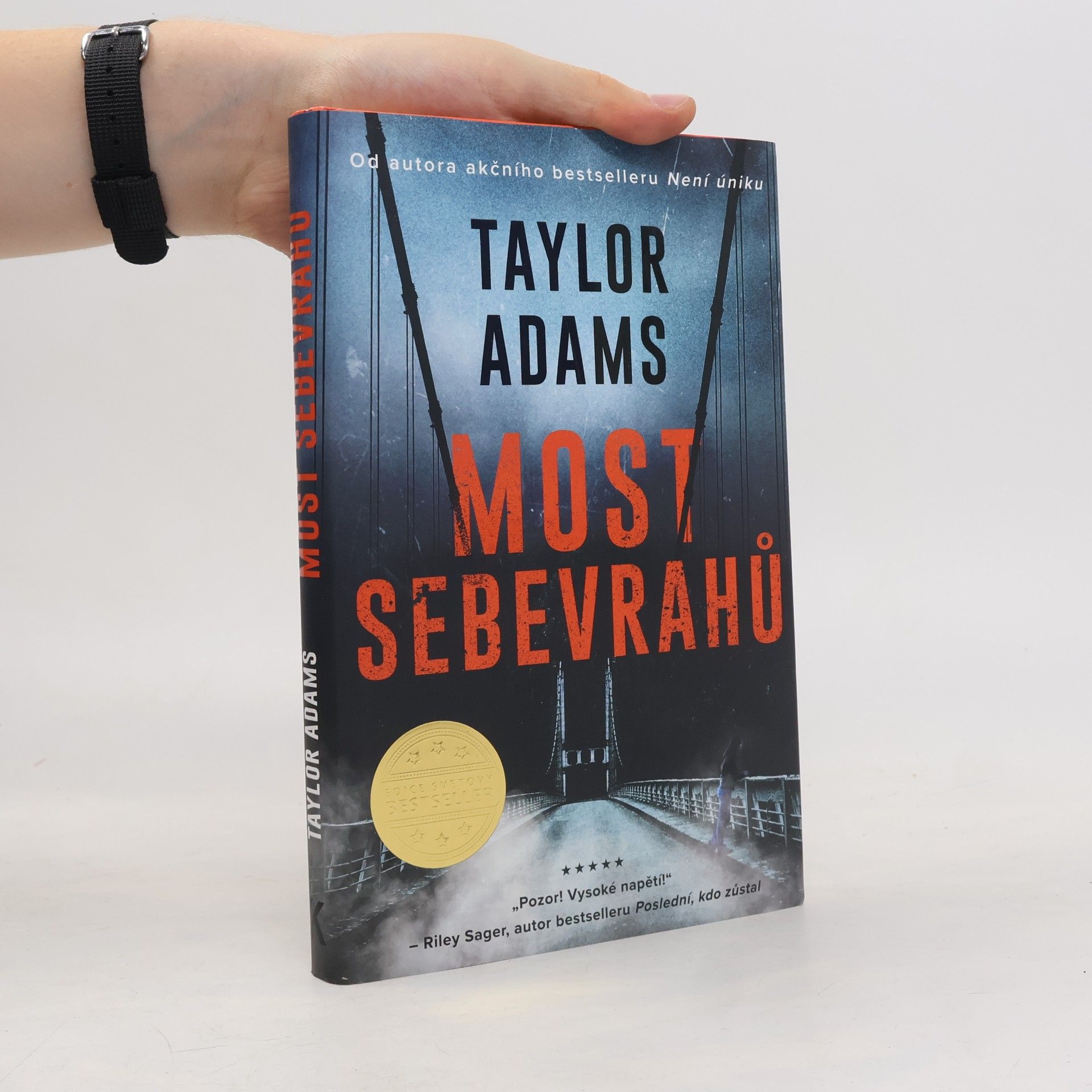 Taylor Adams Most sebevrahů